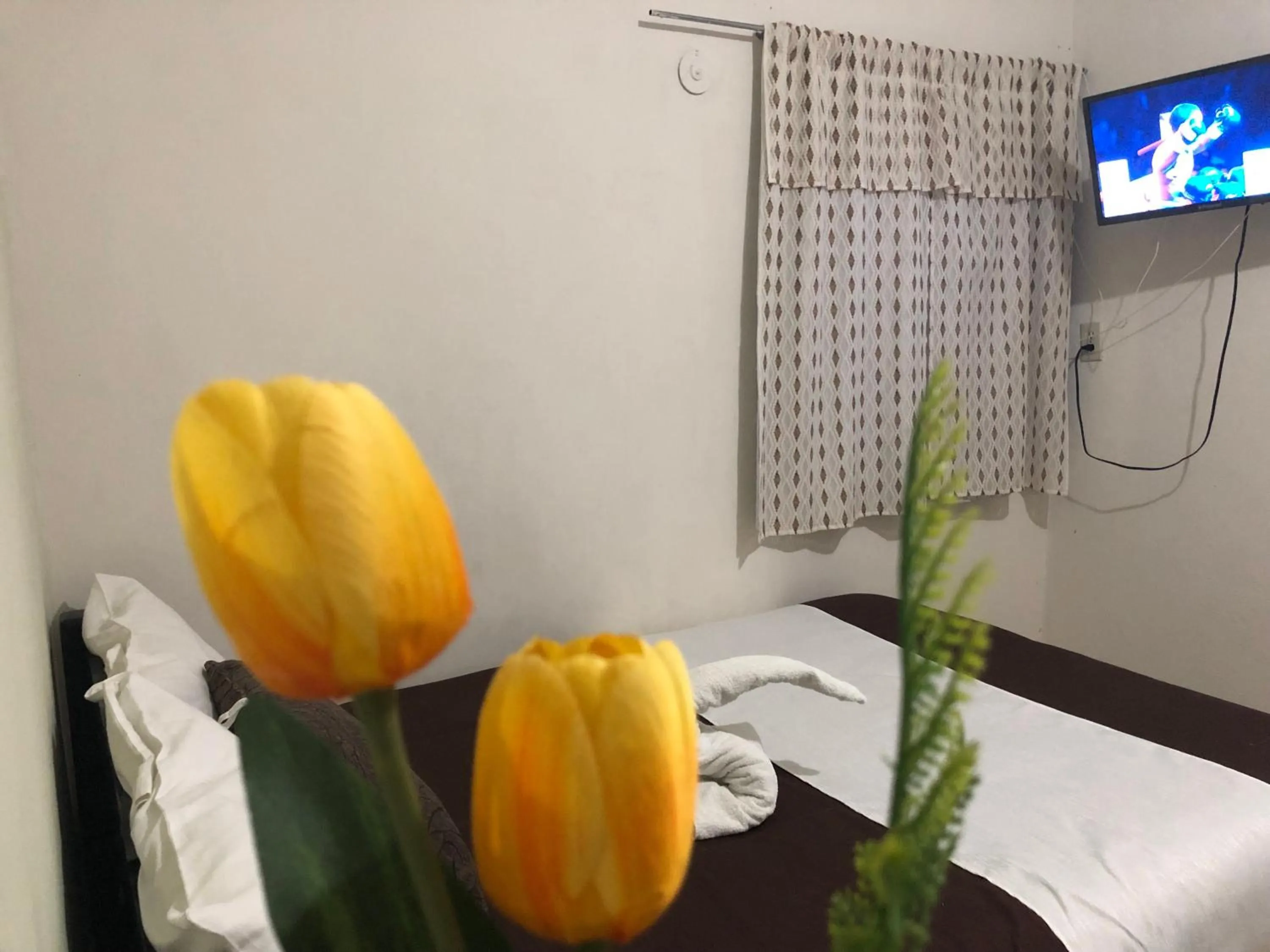 Bed in Studios Playa