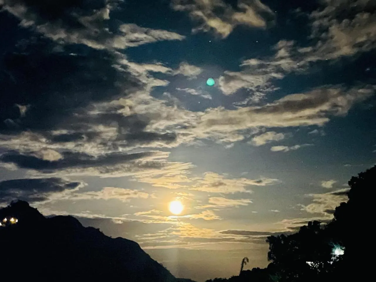 Ella Lucky Panoramic