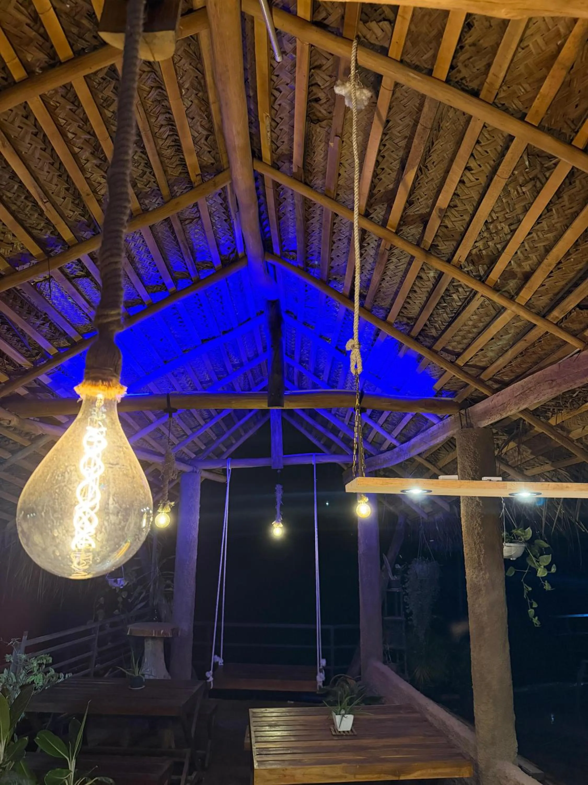 Ella Lucky Panoramic