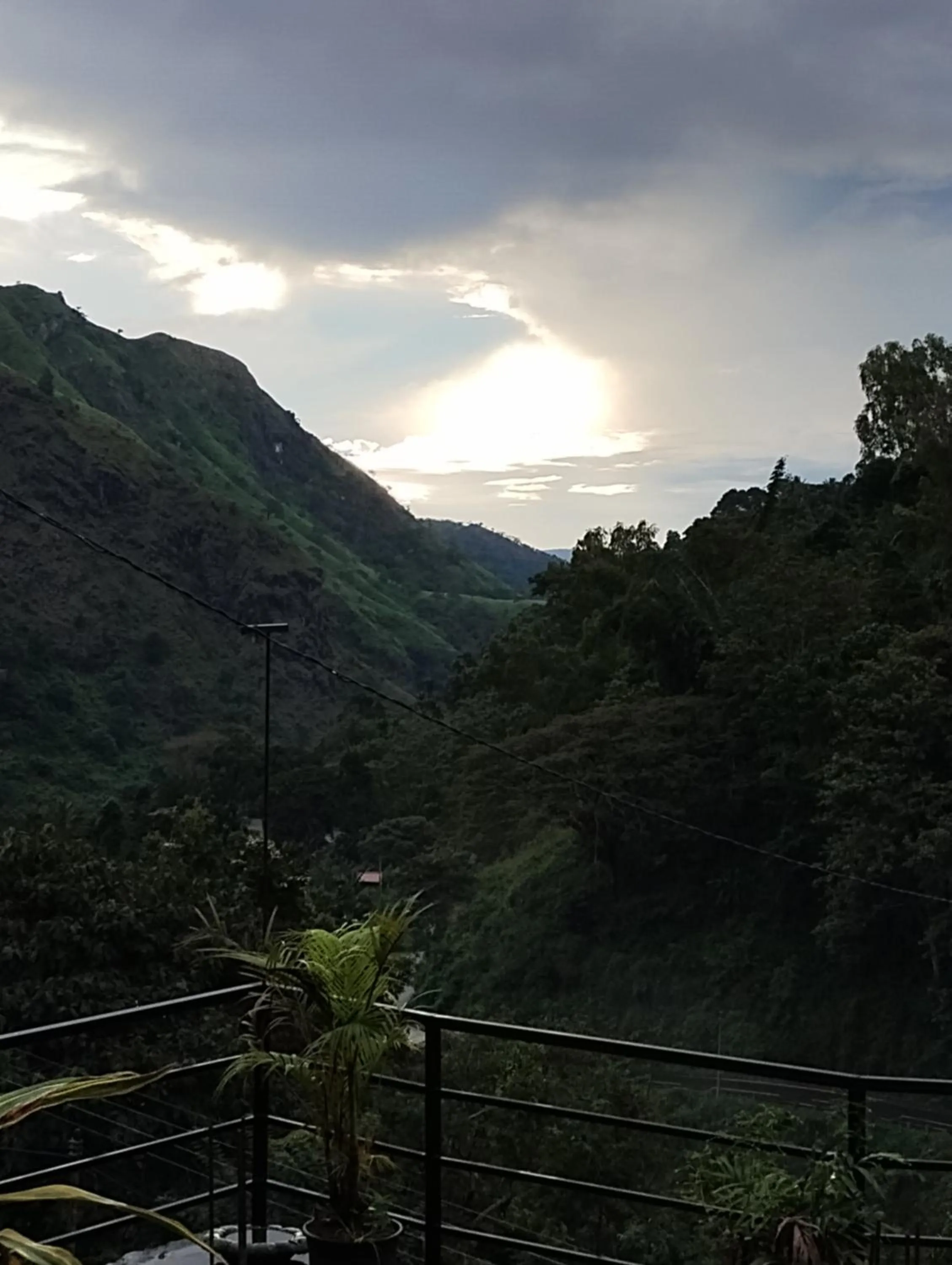 Ella Lucky Panoramic