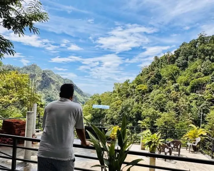 Ella Lucky Panoramic