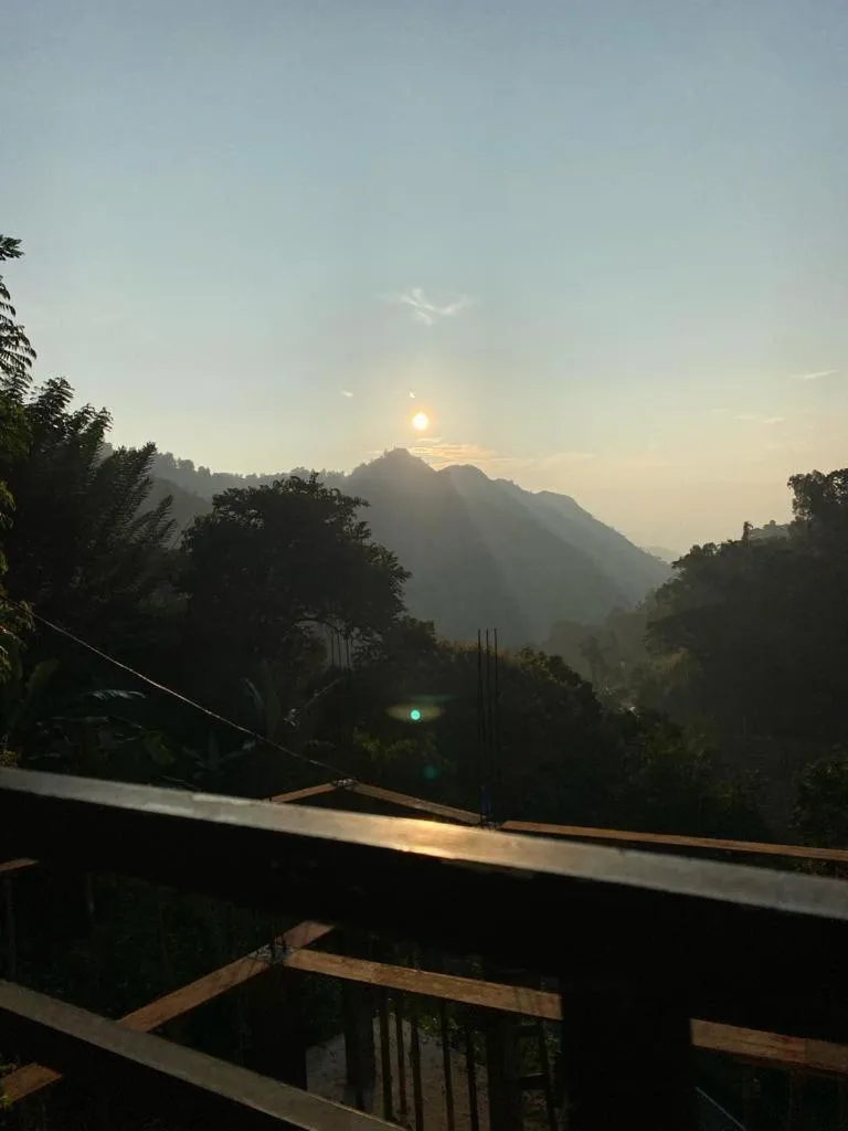 Ella Lucky Panoramic