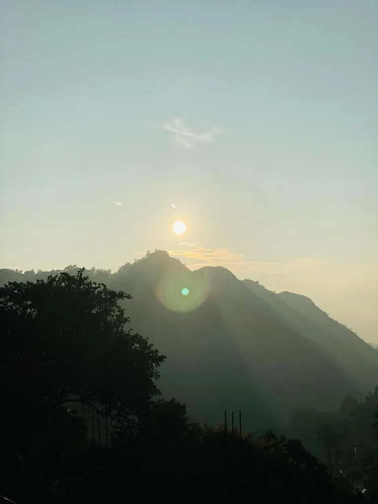 Ella Lucky Panoramic