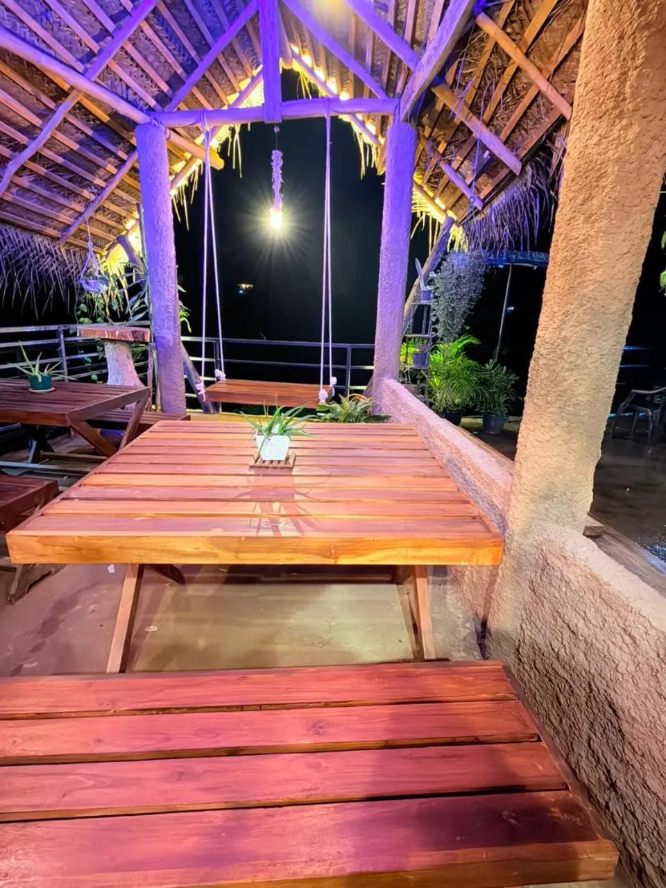 Ella Lucky Panoramic