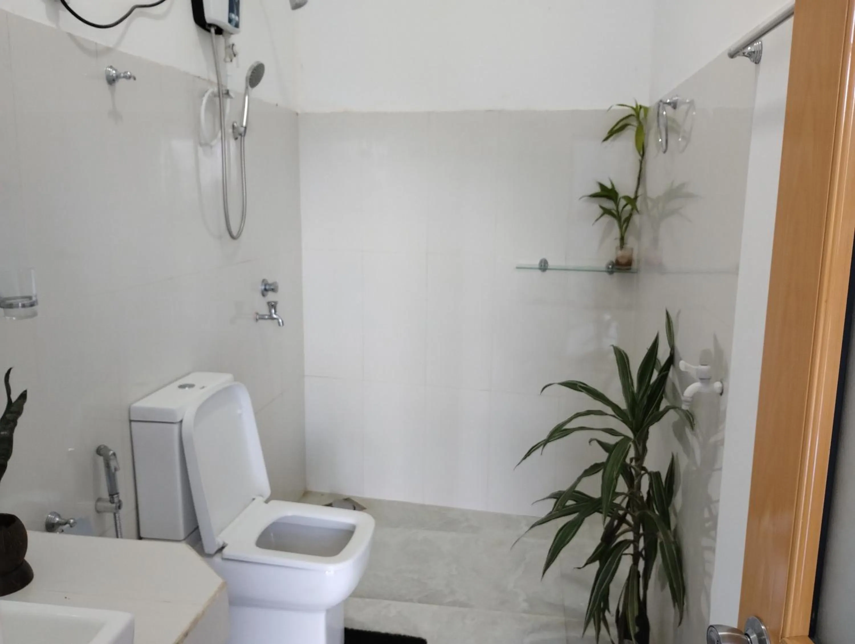 Ella Lucky Panoramic