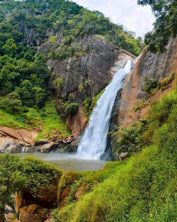 Ella Lucky Panoramic