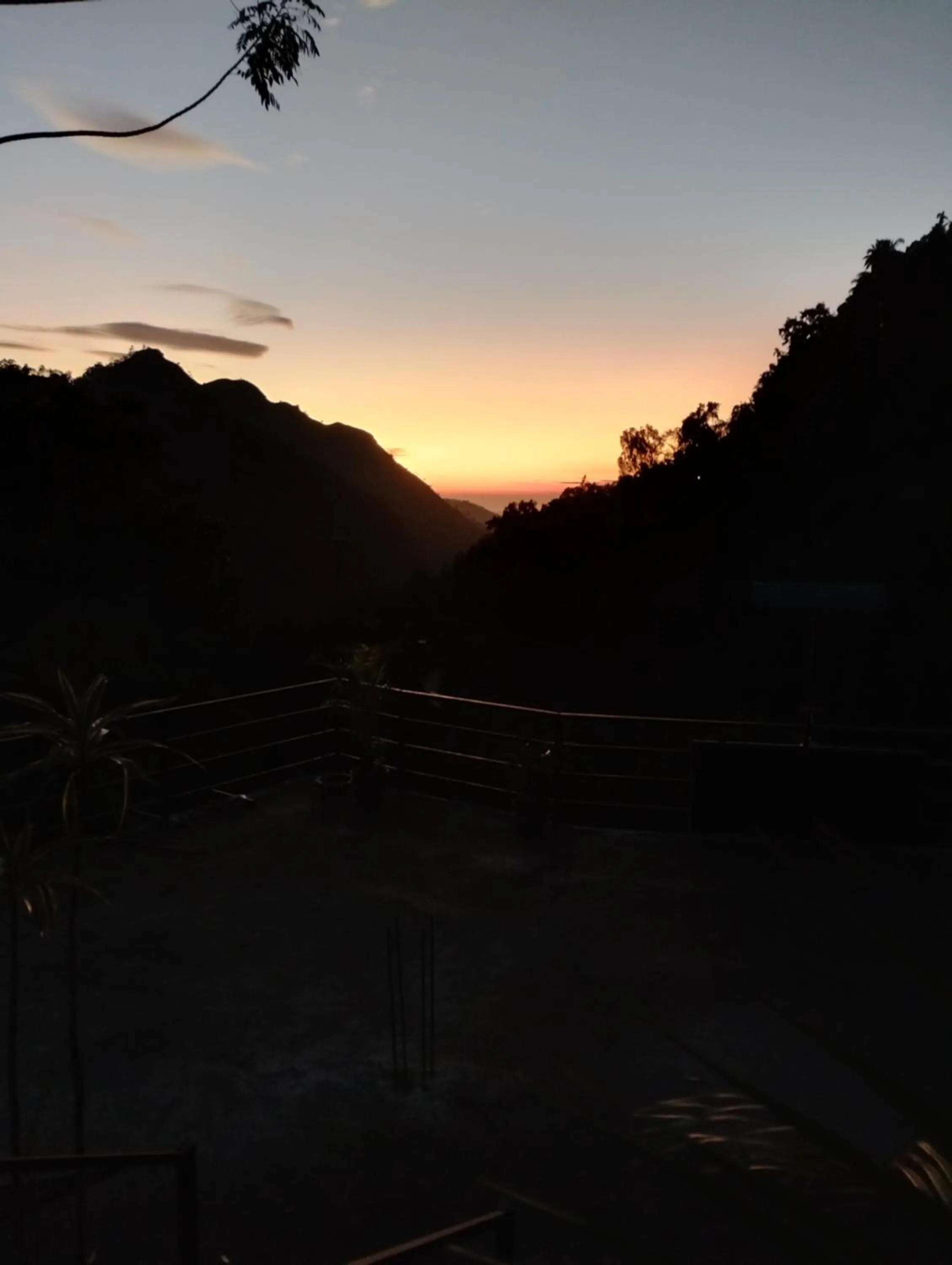 Ella Lucky Panoramic