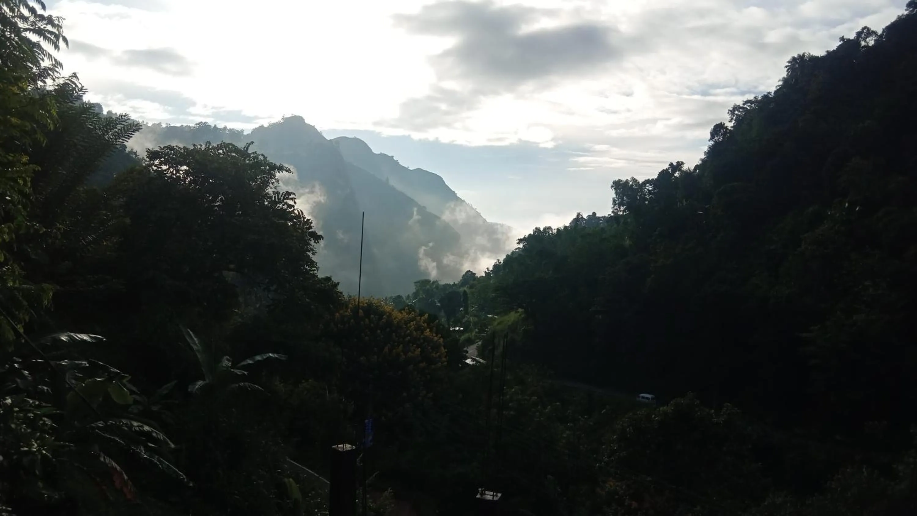 Ella Lucky Panoramic