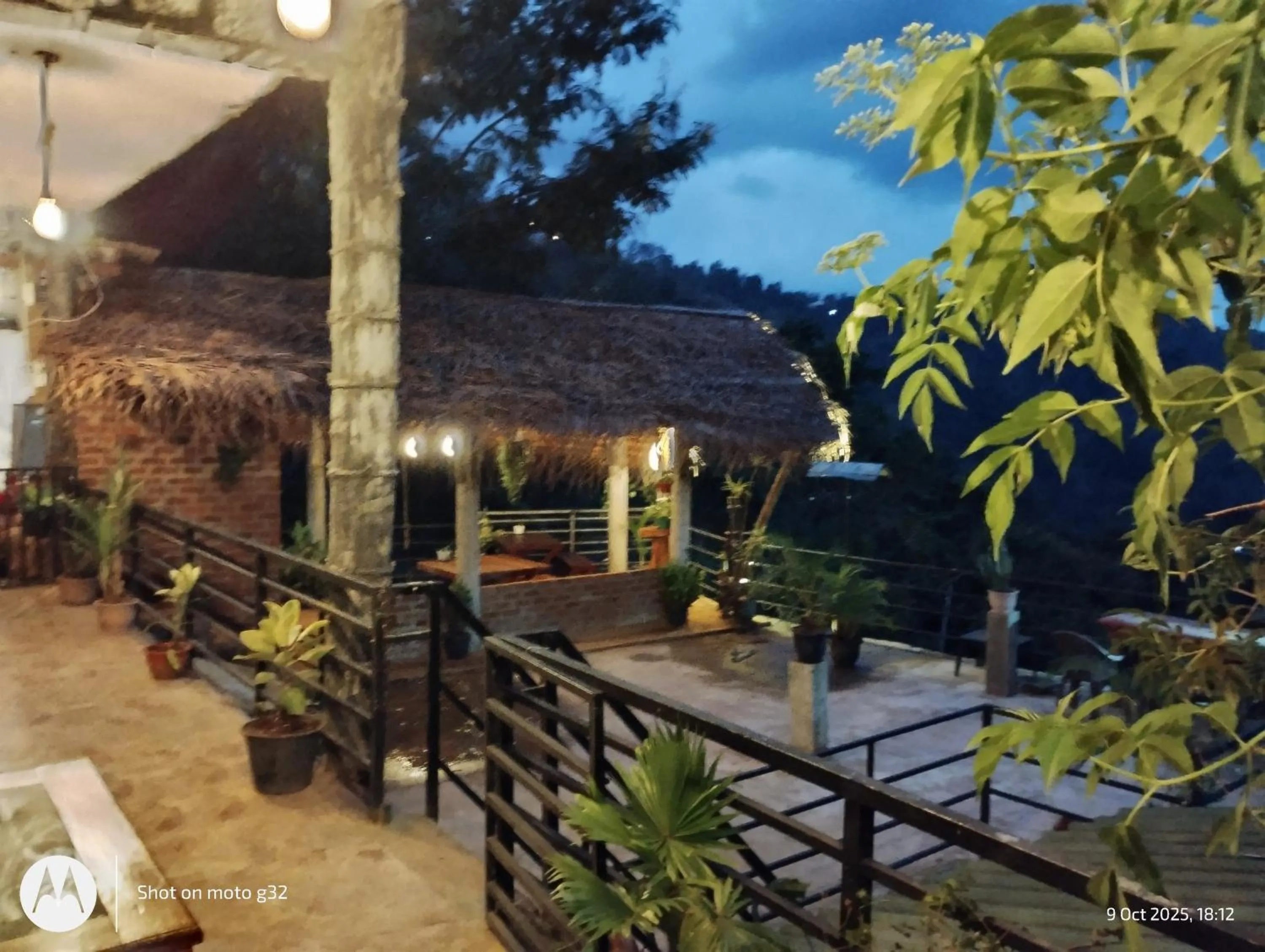 Ella Lucky Panoramic