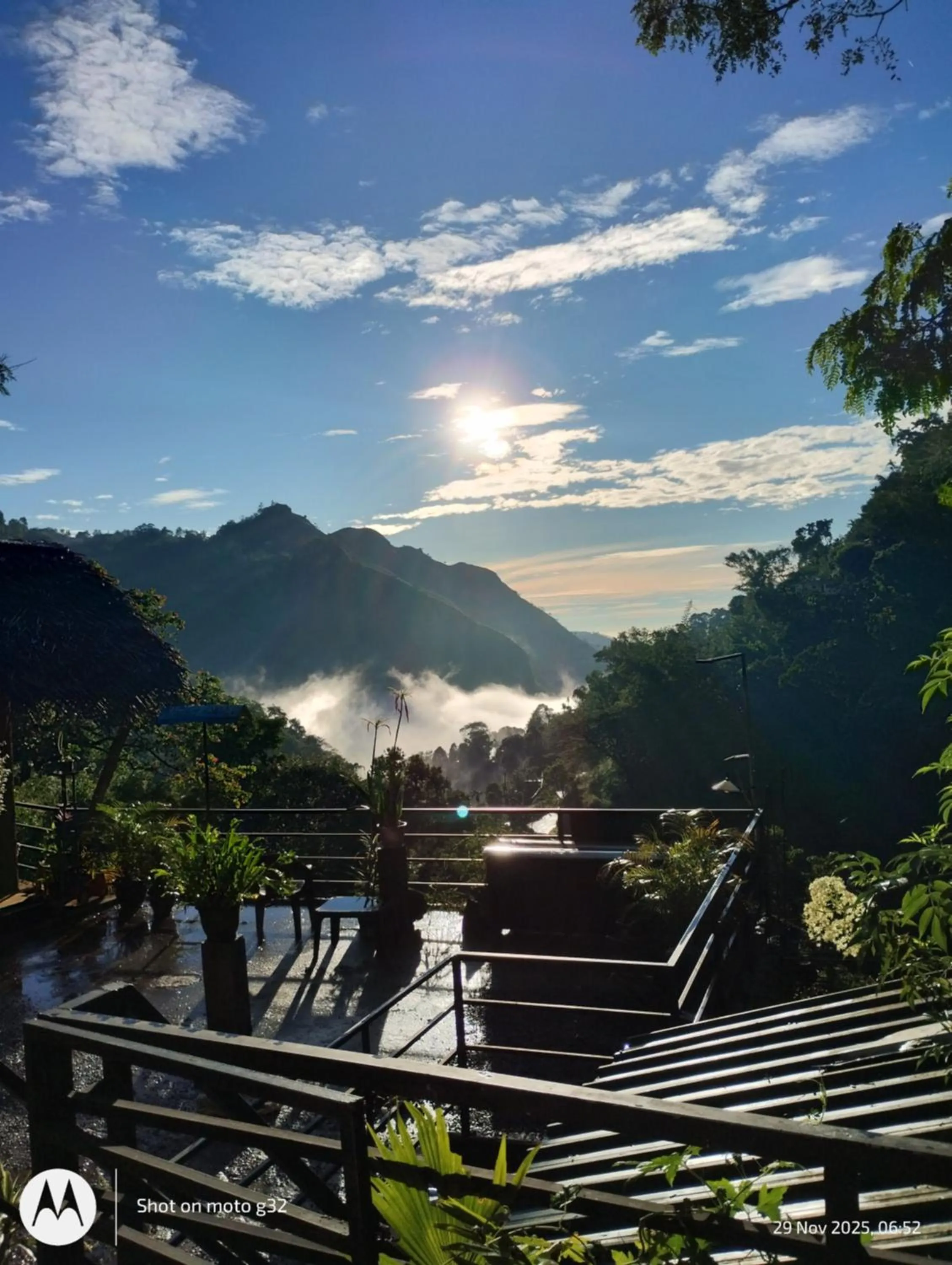 Ella Lucky Panoramic