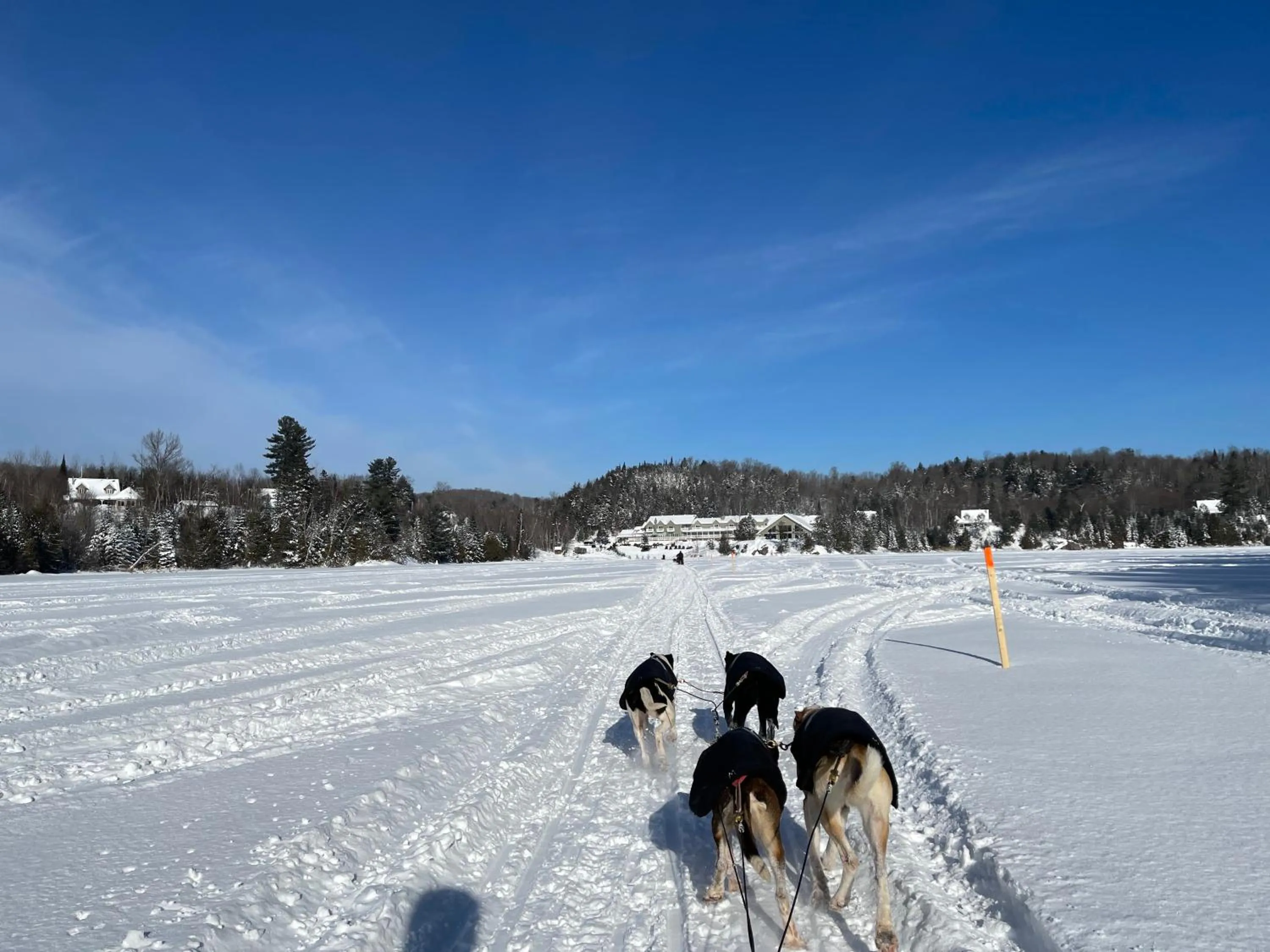 Activities in Pourvoirie du Lac Blanc