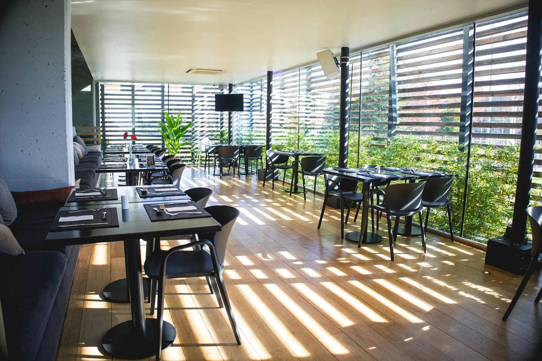 Area and facilities in Wyndham Concepcion Pettra