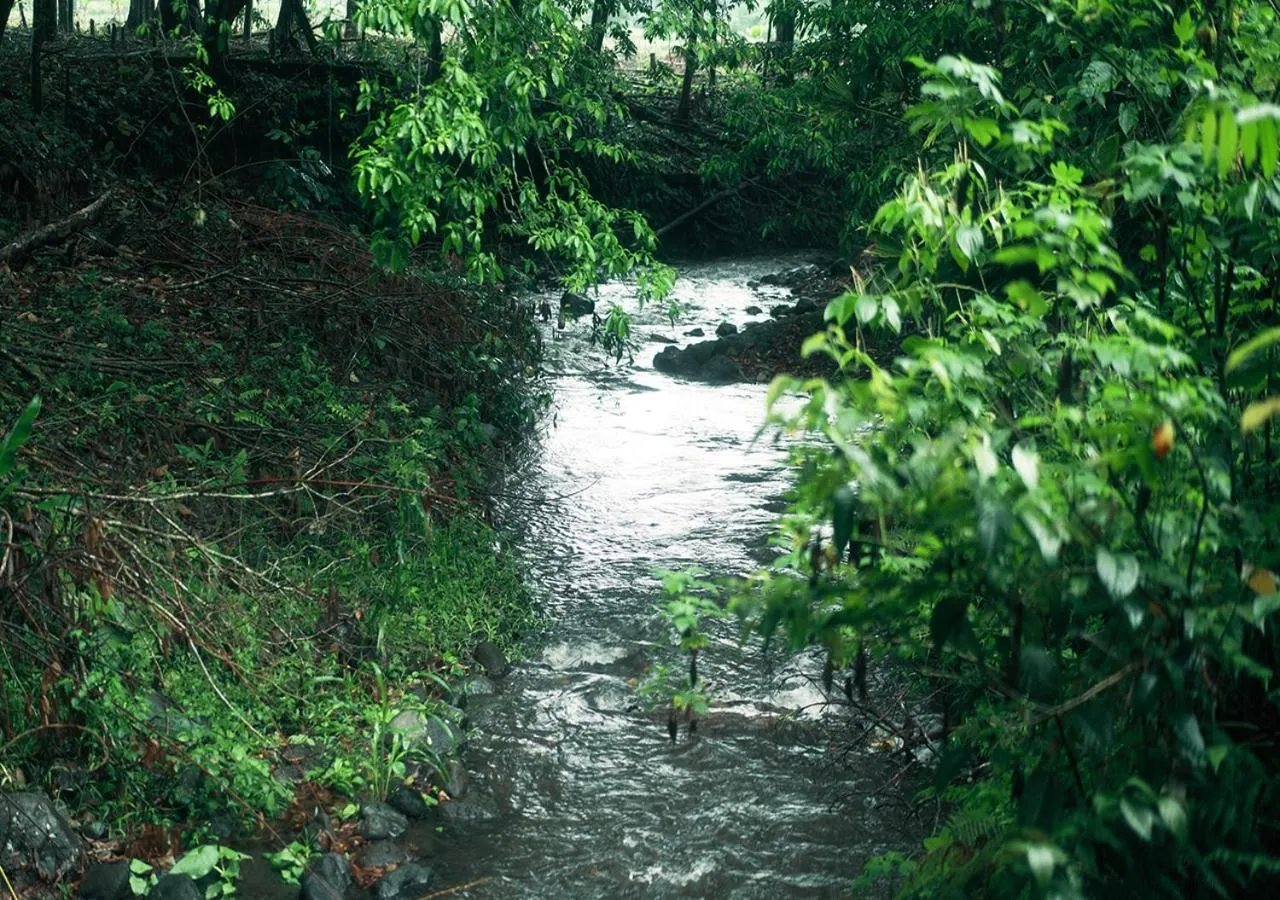 Spring in Hotel Eco Arenal