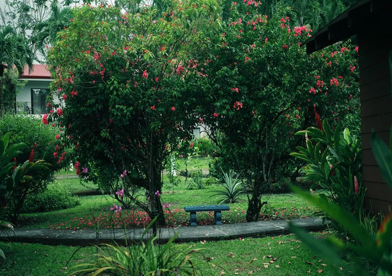 Spring in Hotel Eco Arenal