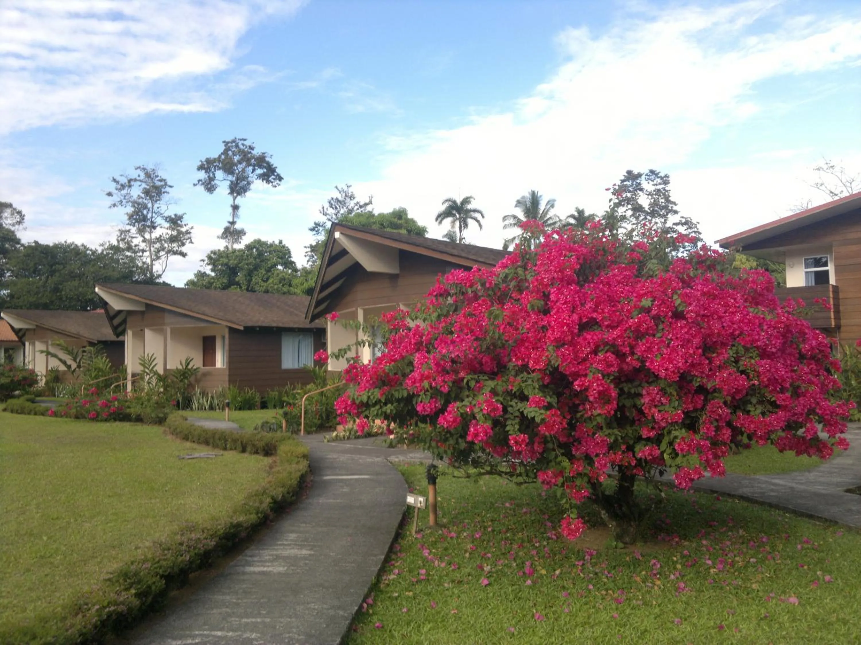 Spring in Hotel Eco Arenal