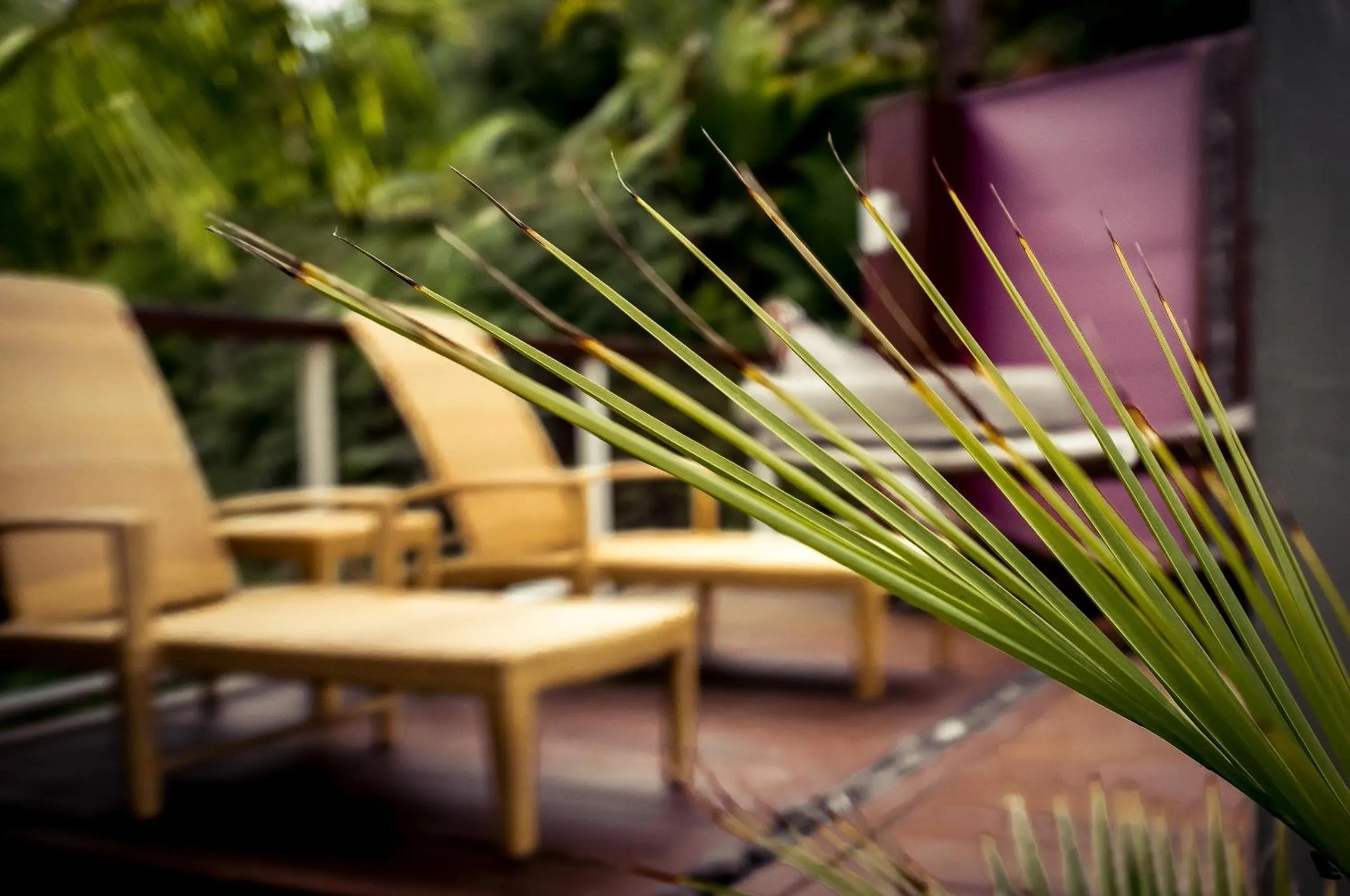 Balcony/Terrace in Sanctuary Palms