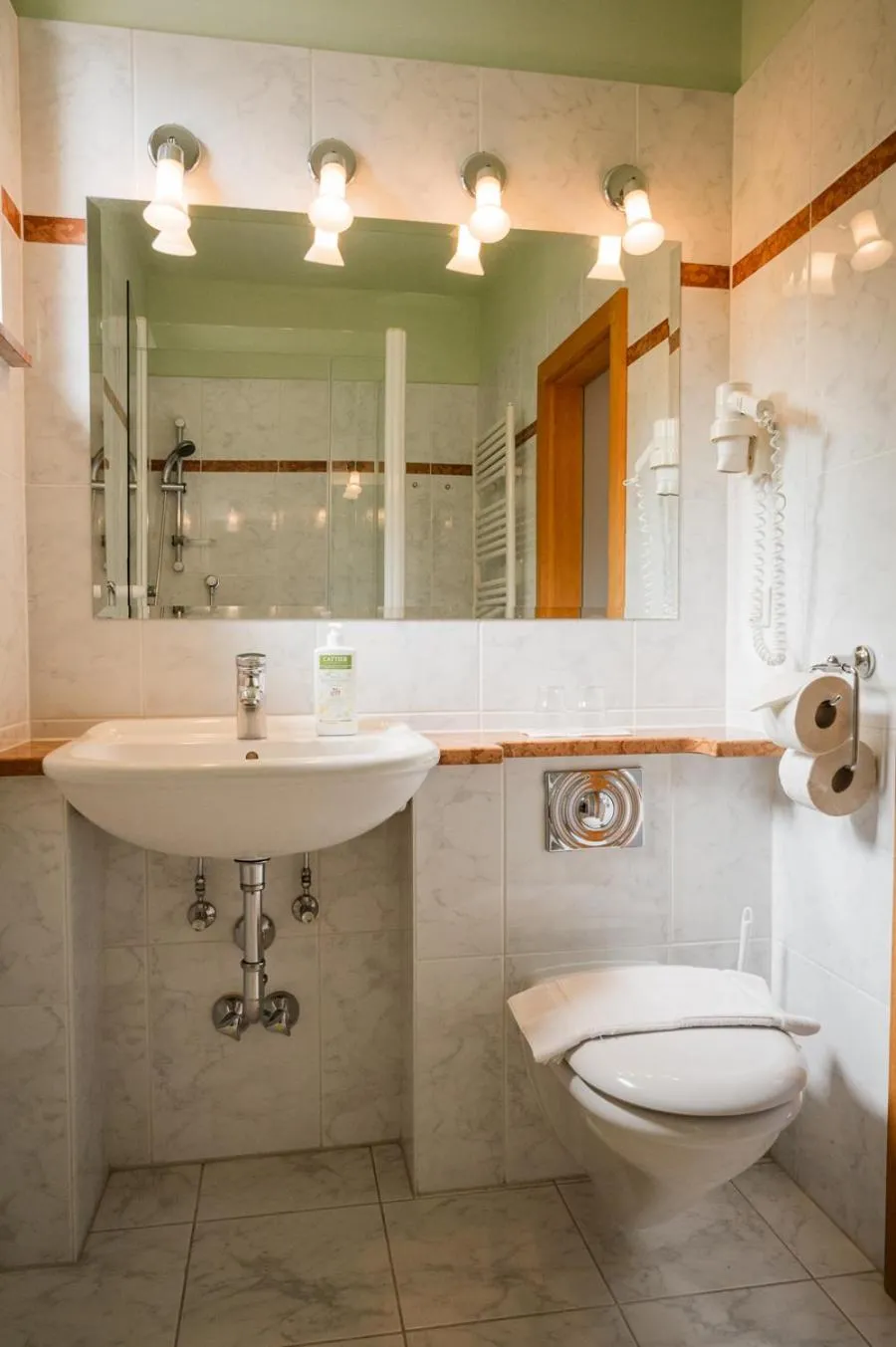 Toilet in Panoramahotel Wagner - Das Biohotel am Semmering