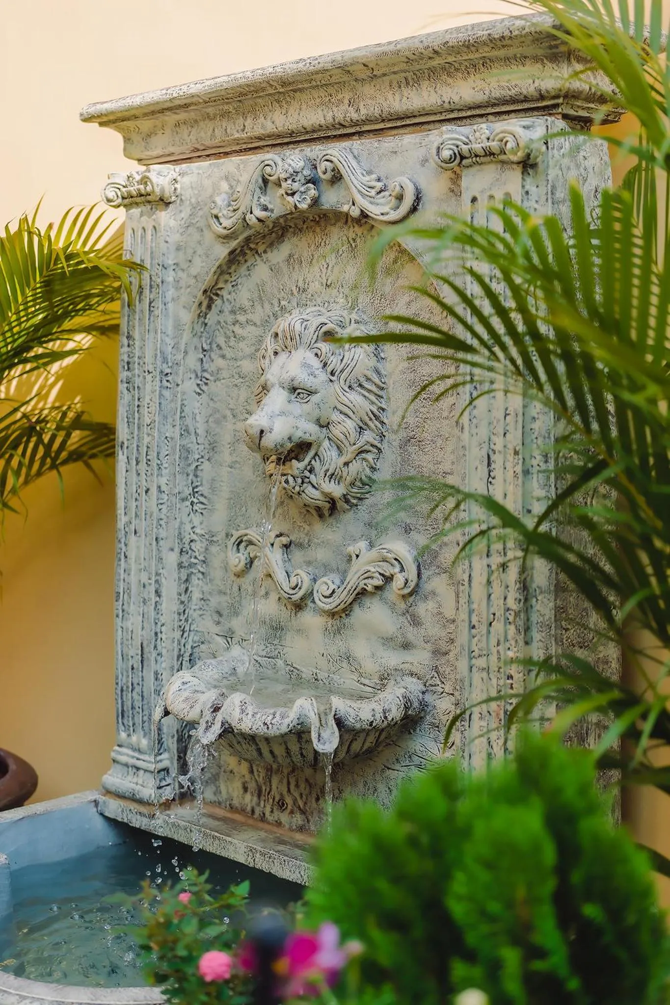 Garden in Bauman Ville Hotel