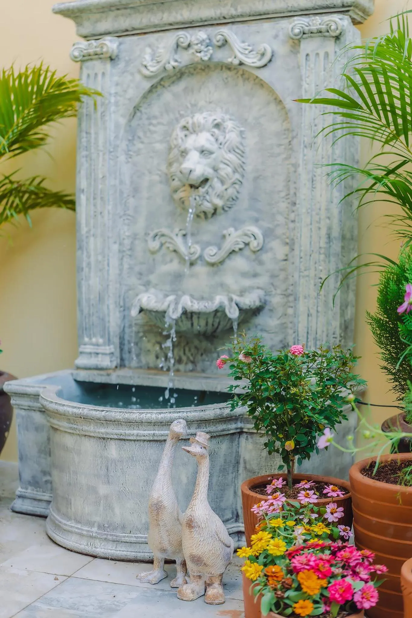 Garden in Bauman Ville Hotel