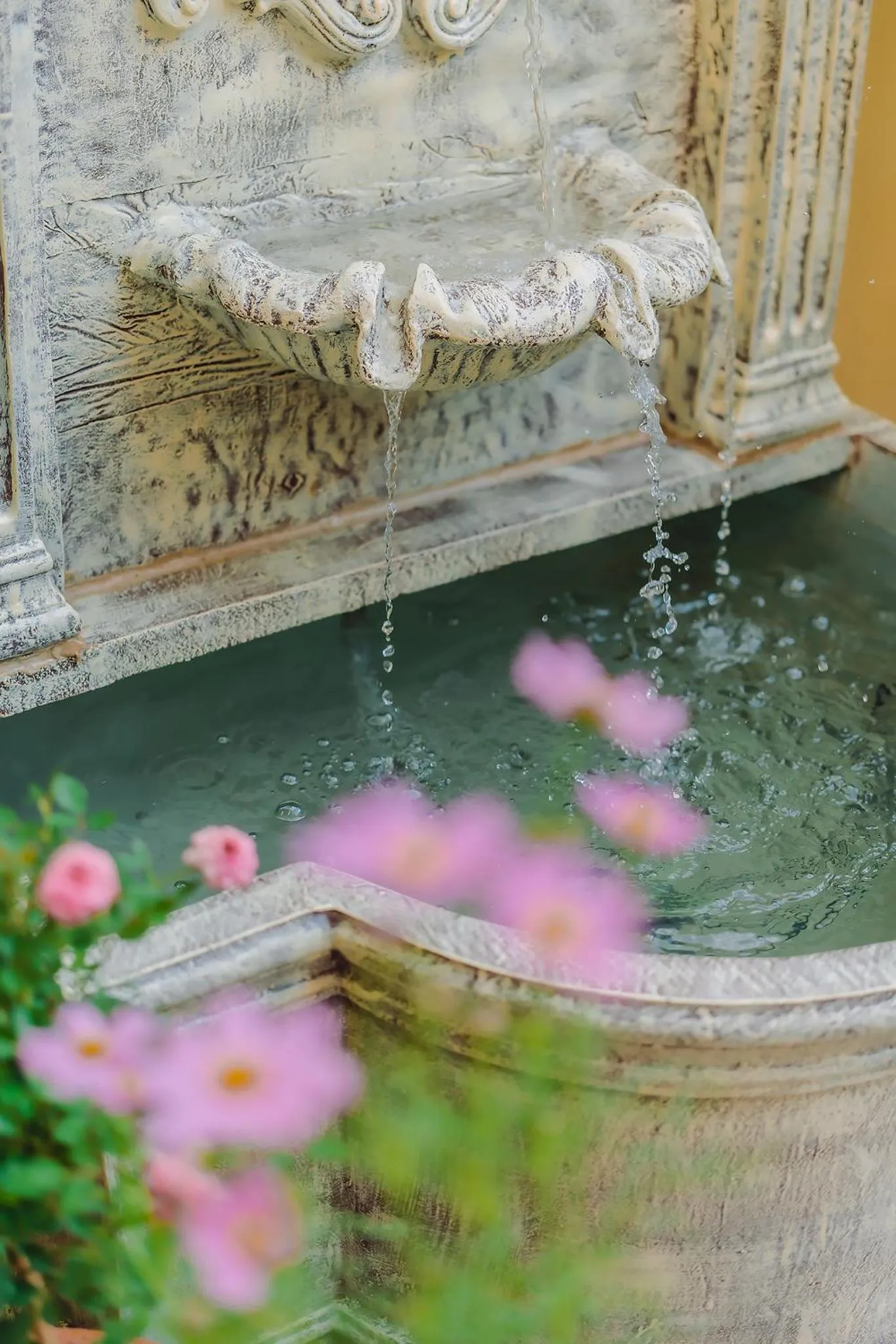 Garden in Bauman Ville Hotel