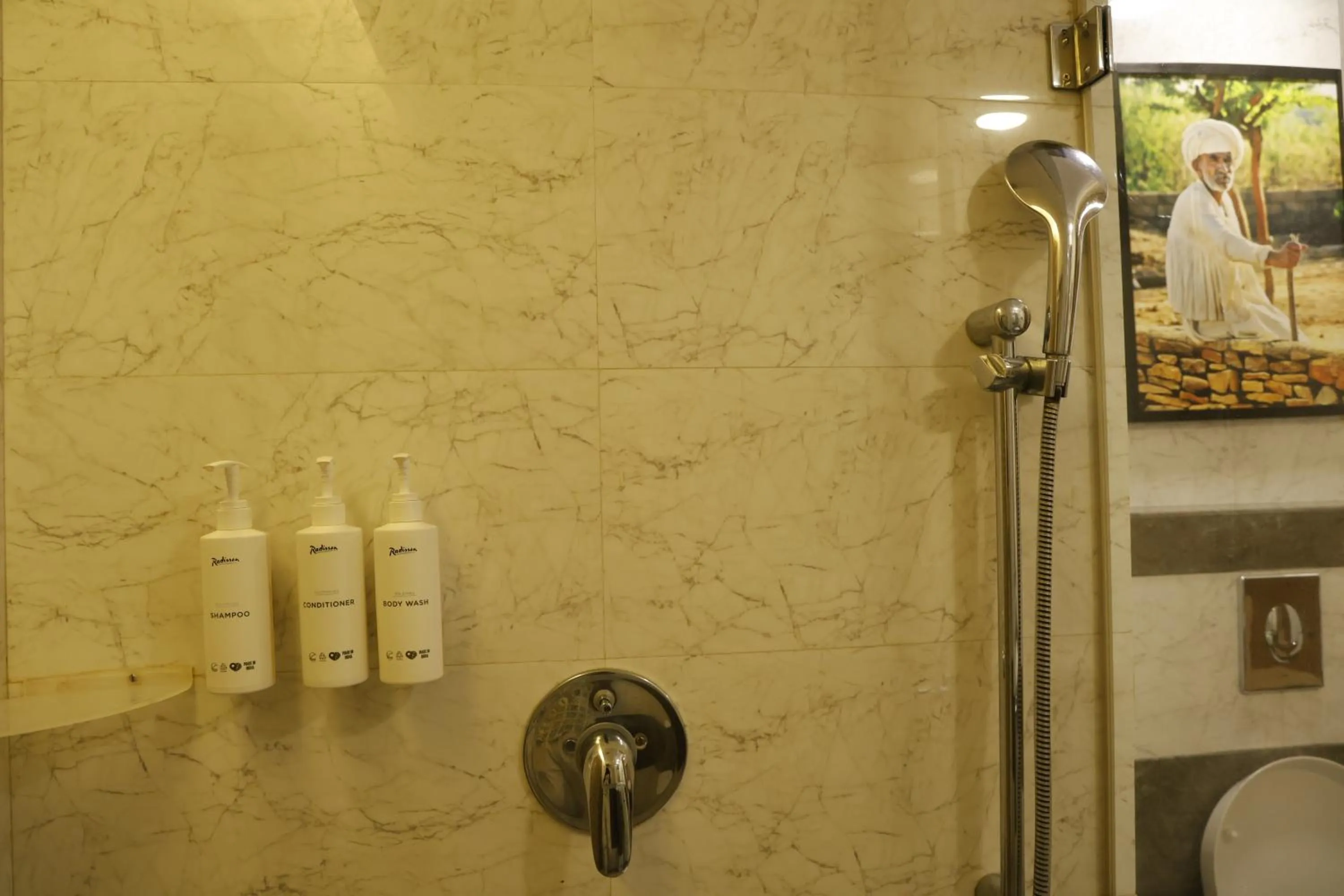 Shower in Radisson Resort & Spa Kandla
