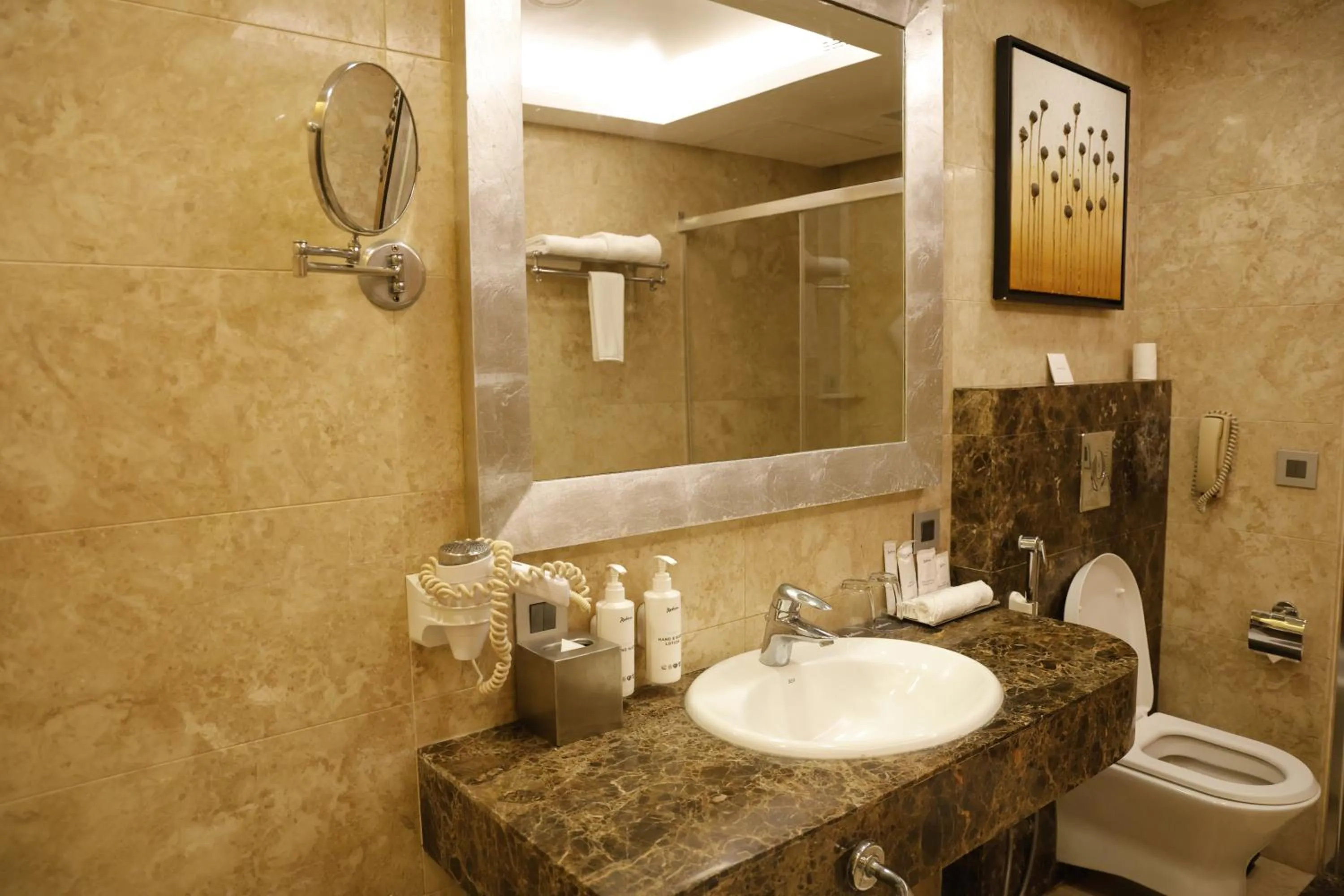 Bathroom in Radisson Resort & Spa Kandla