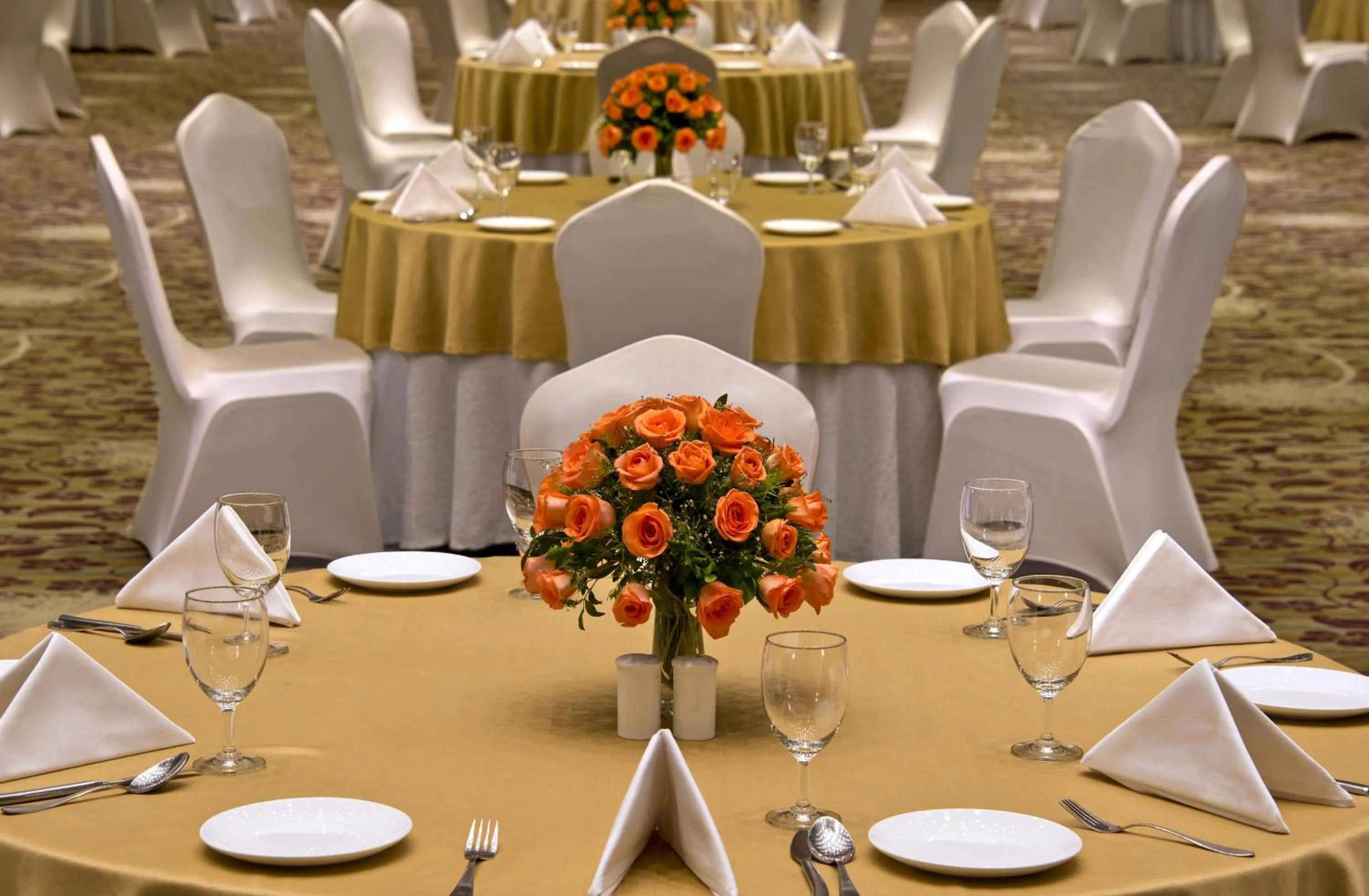 Banquet/Function facilities in Radisson Resort & Spa Kandla