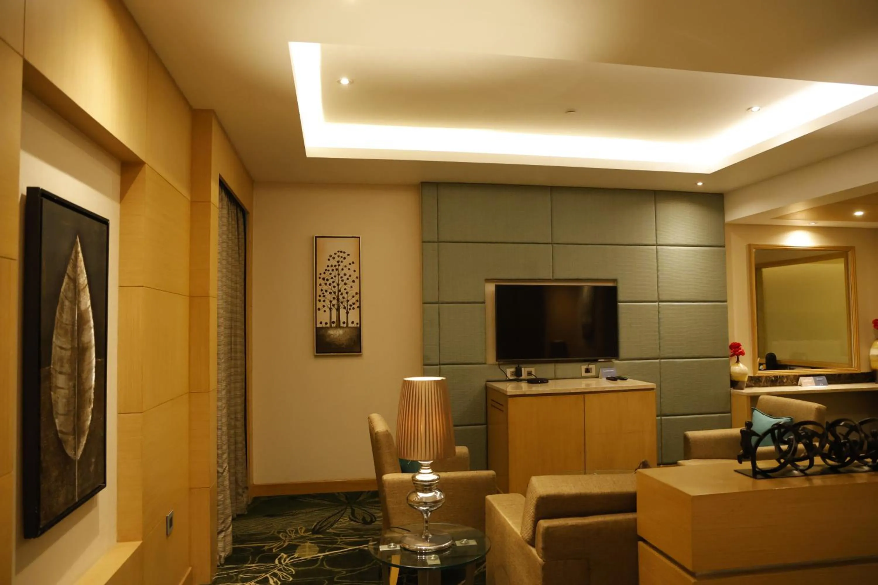 TV and multimedia in Radisson Resort & Spa Kandla