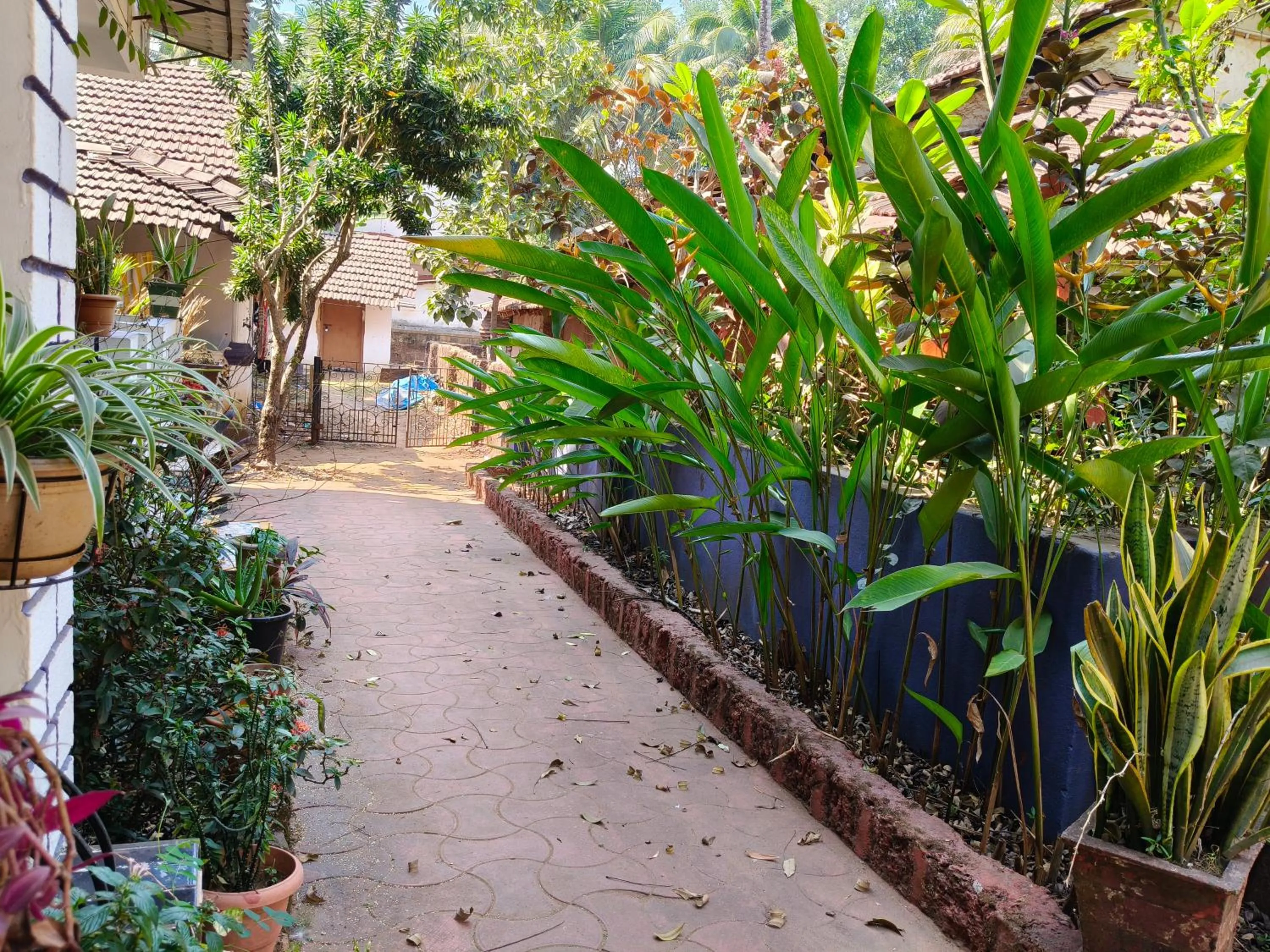 Garden view in Jes Guest House