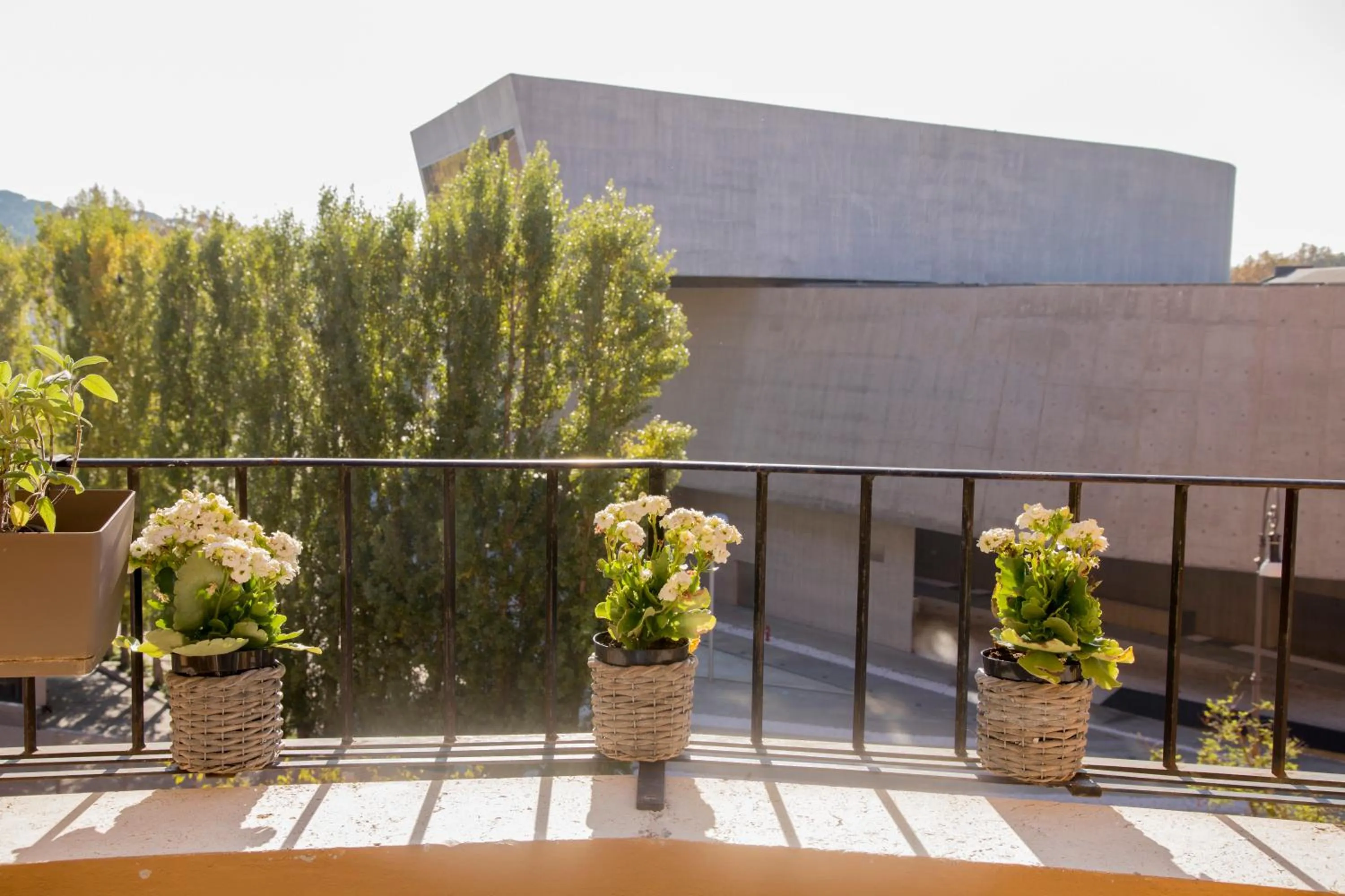 Landmark view in LA PAUSA