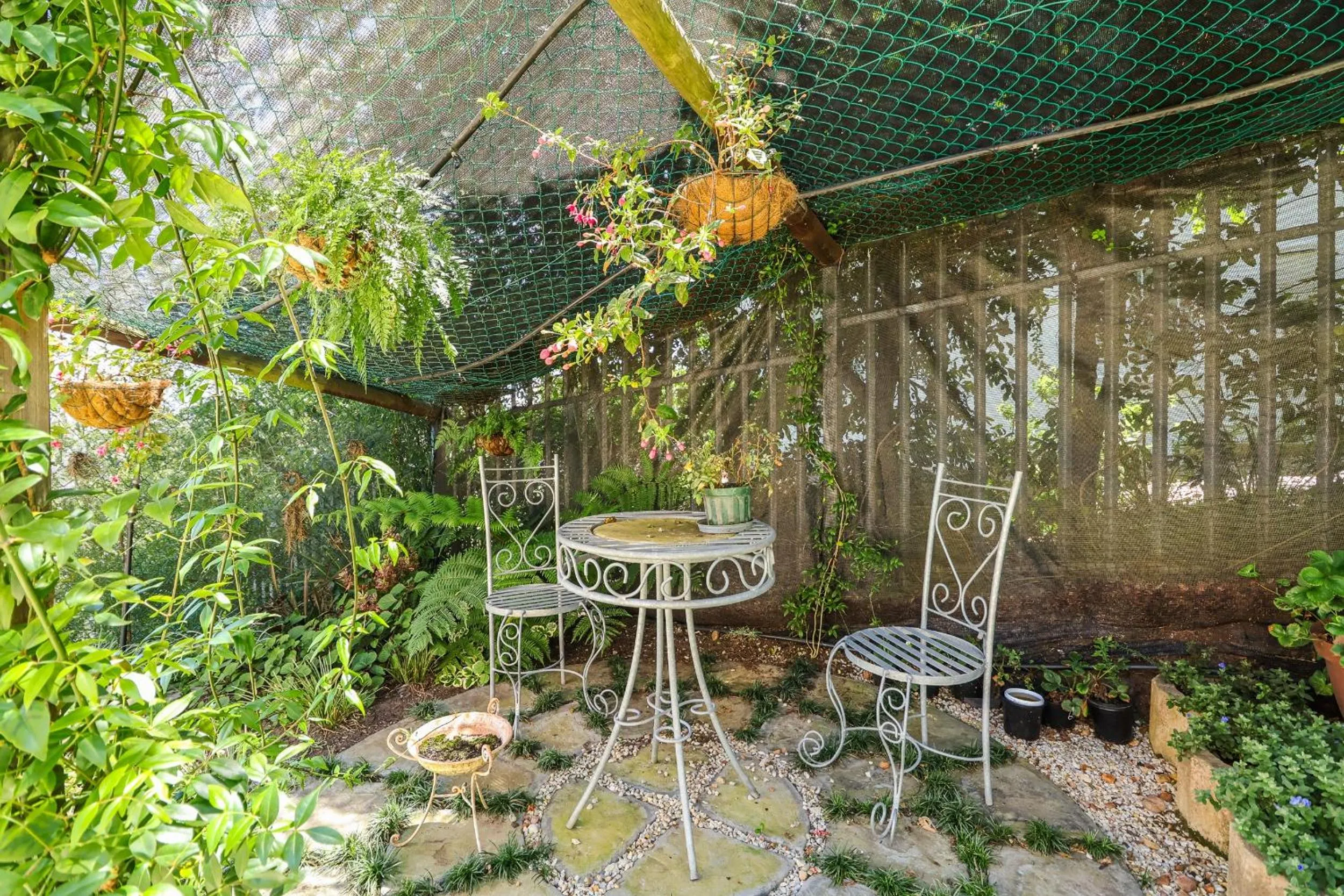 Garden in Belle Vue Ridge BnB,