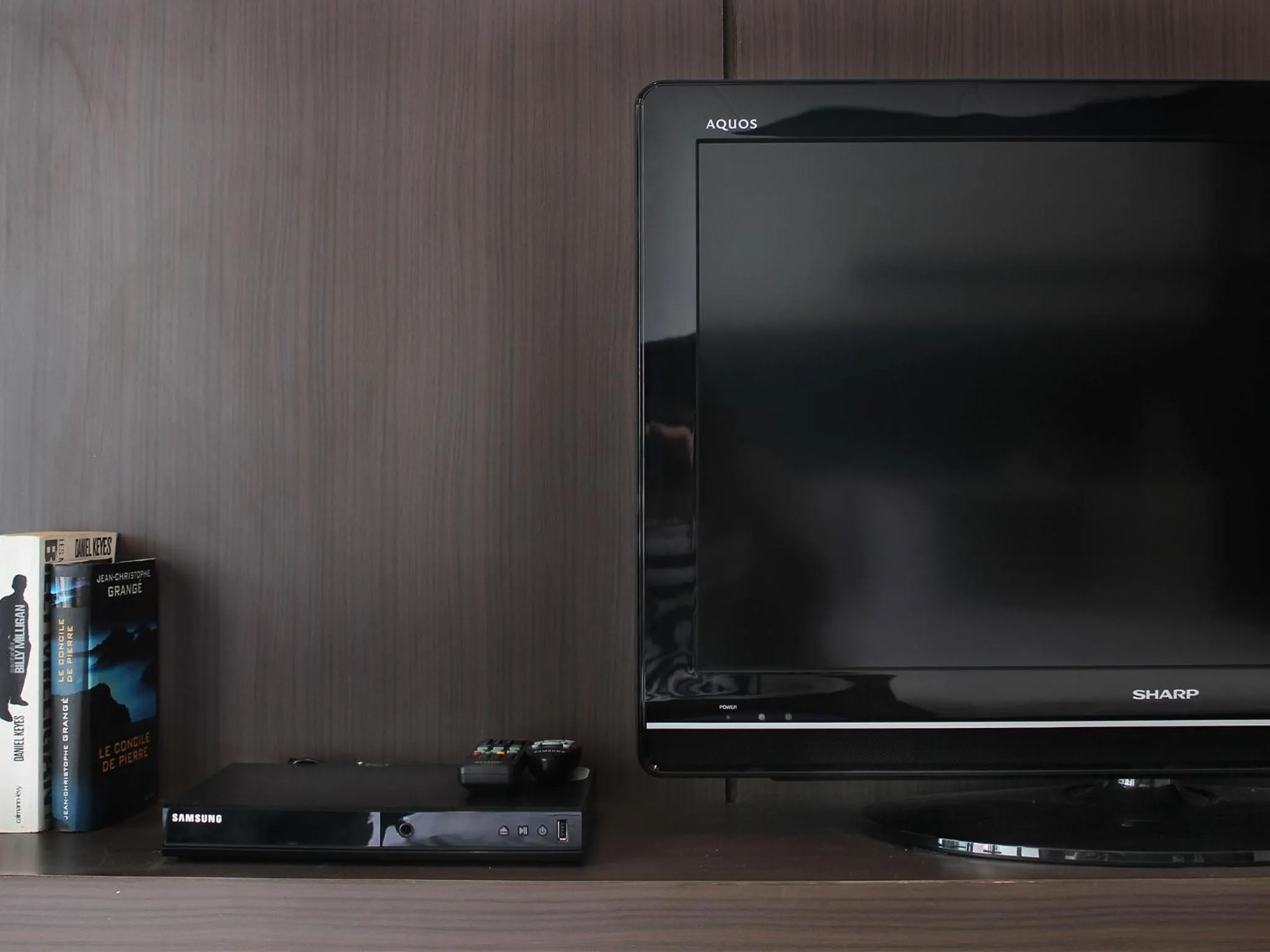 TV and multimedia in The Artist House