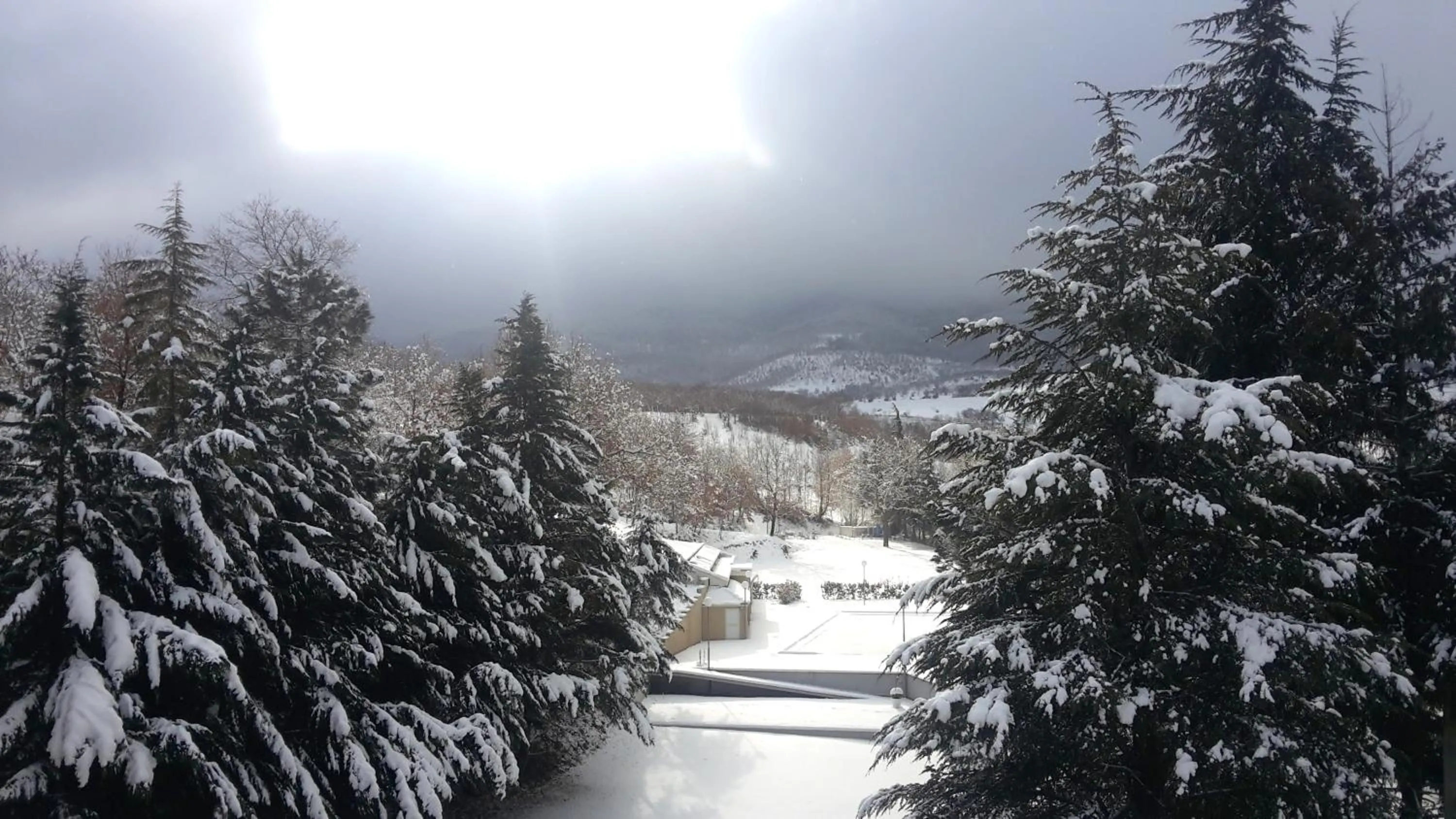 Property building in Il Castagneto Hotel