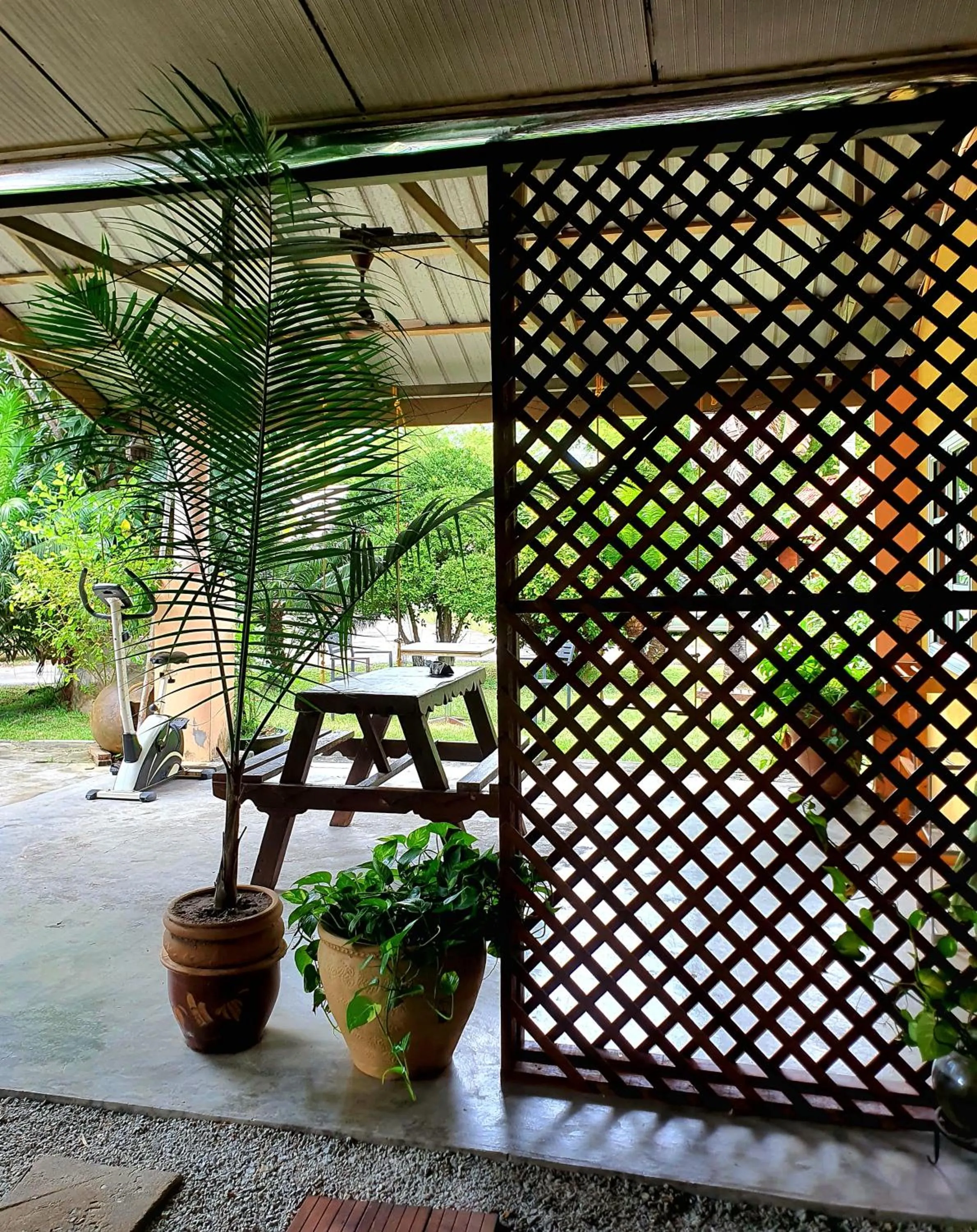 Garden in THE COTTAGE LANGKAWI