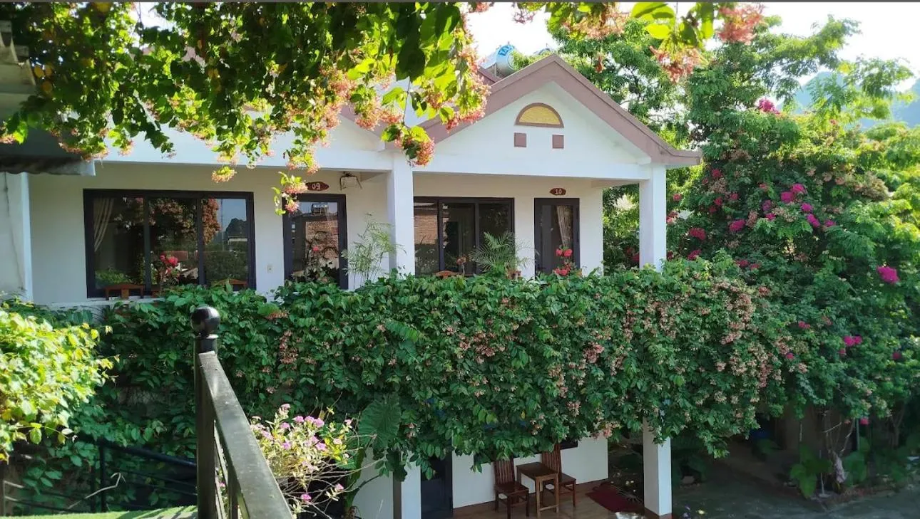 Property building in Lucky Homes