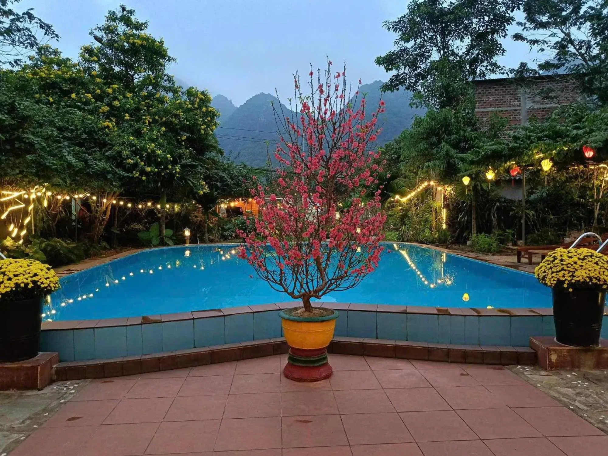 Property building in Lucky Homes