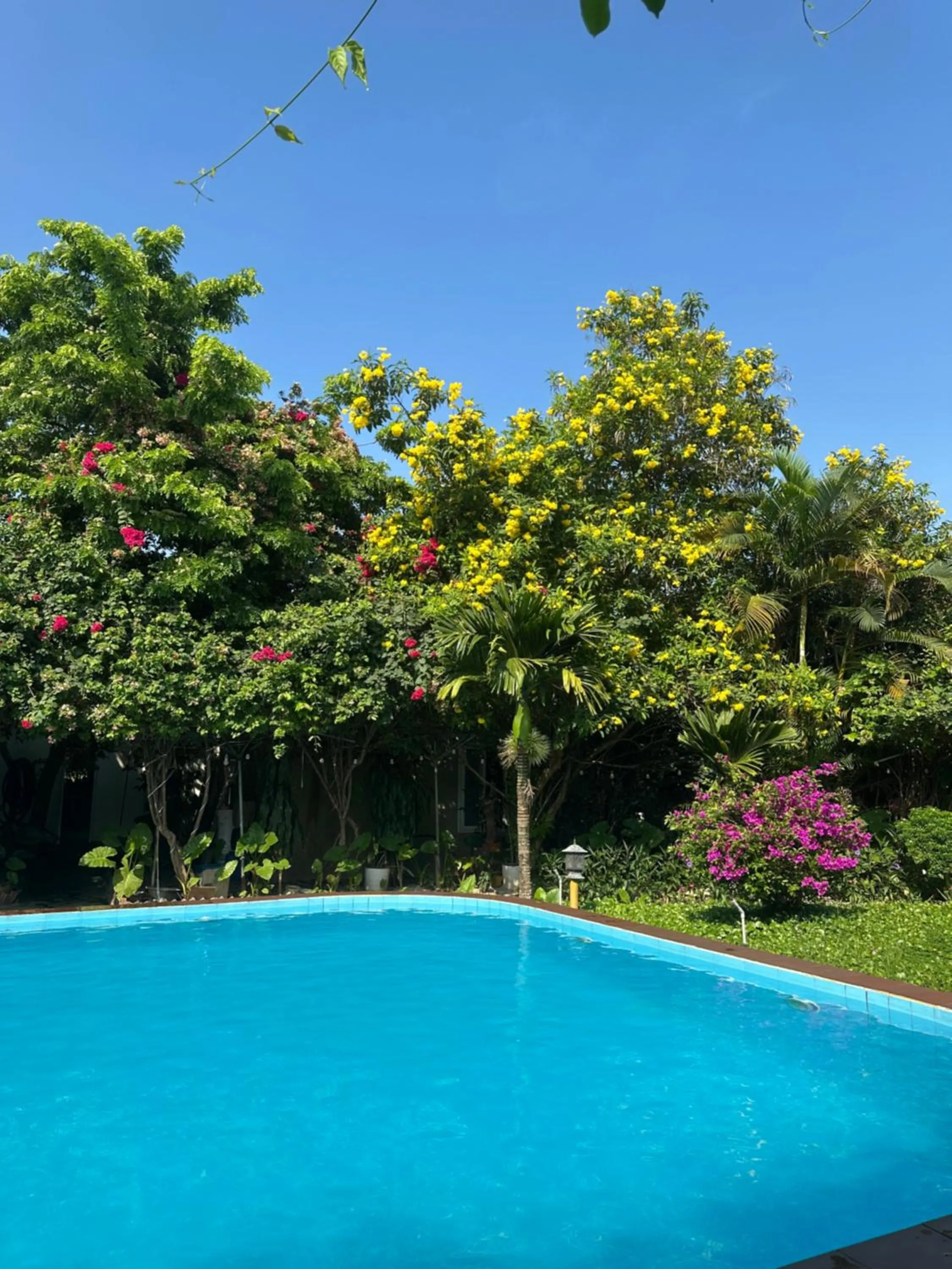 Swimming pool in Lucky Homes