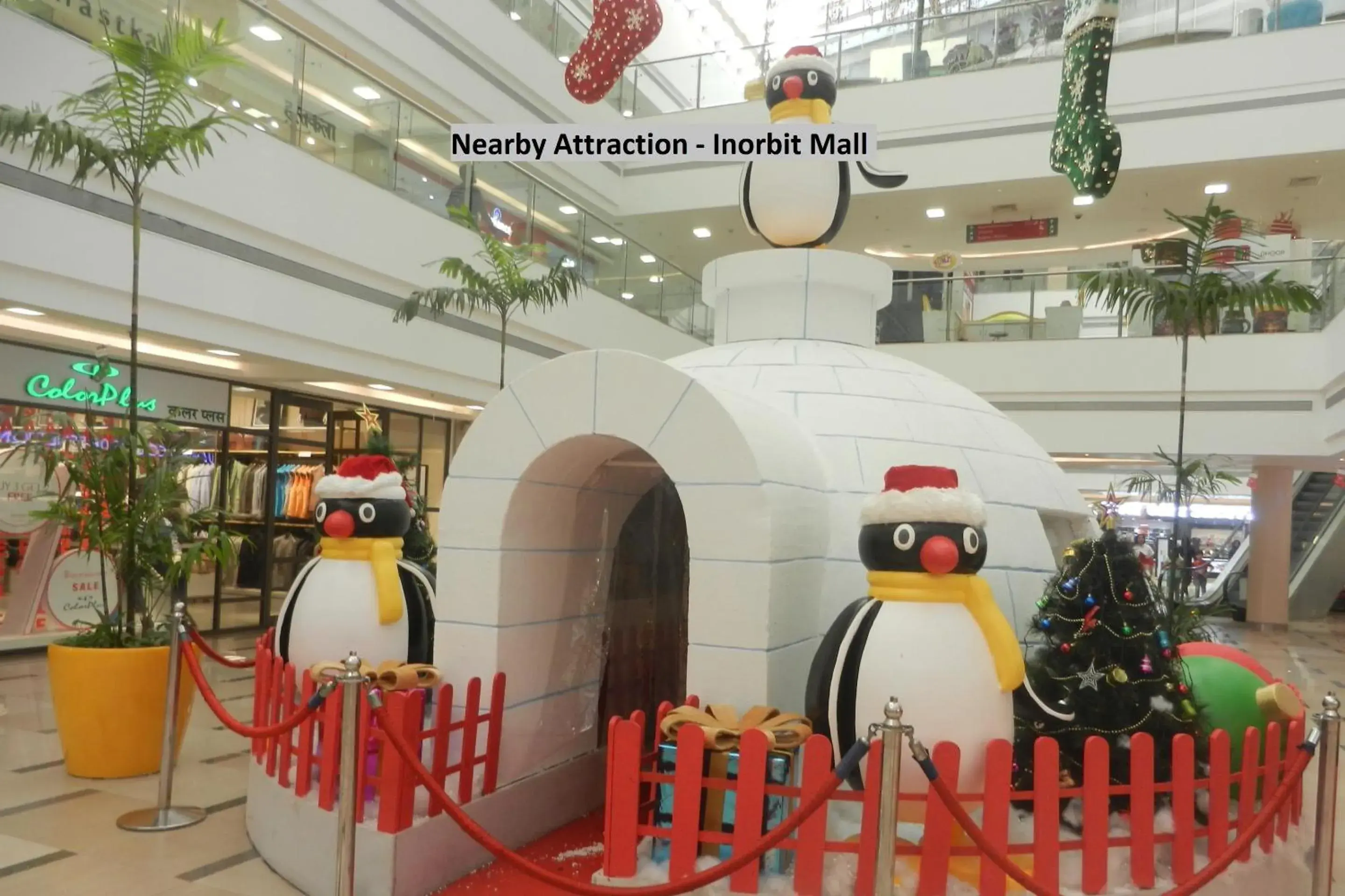 Capital O Orbit Inn Near Infiniti Mall Capital O Orbit Inn Near Infiniti Mall