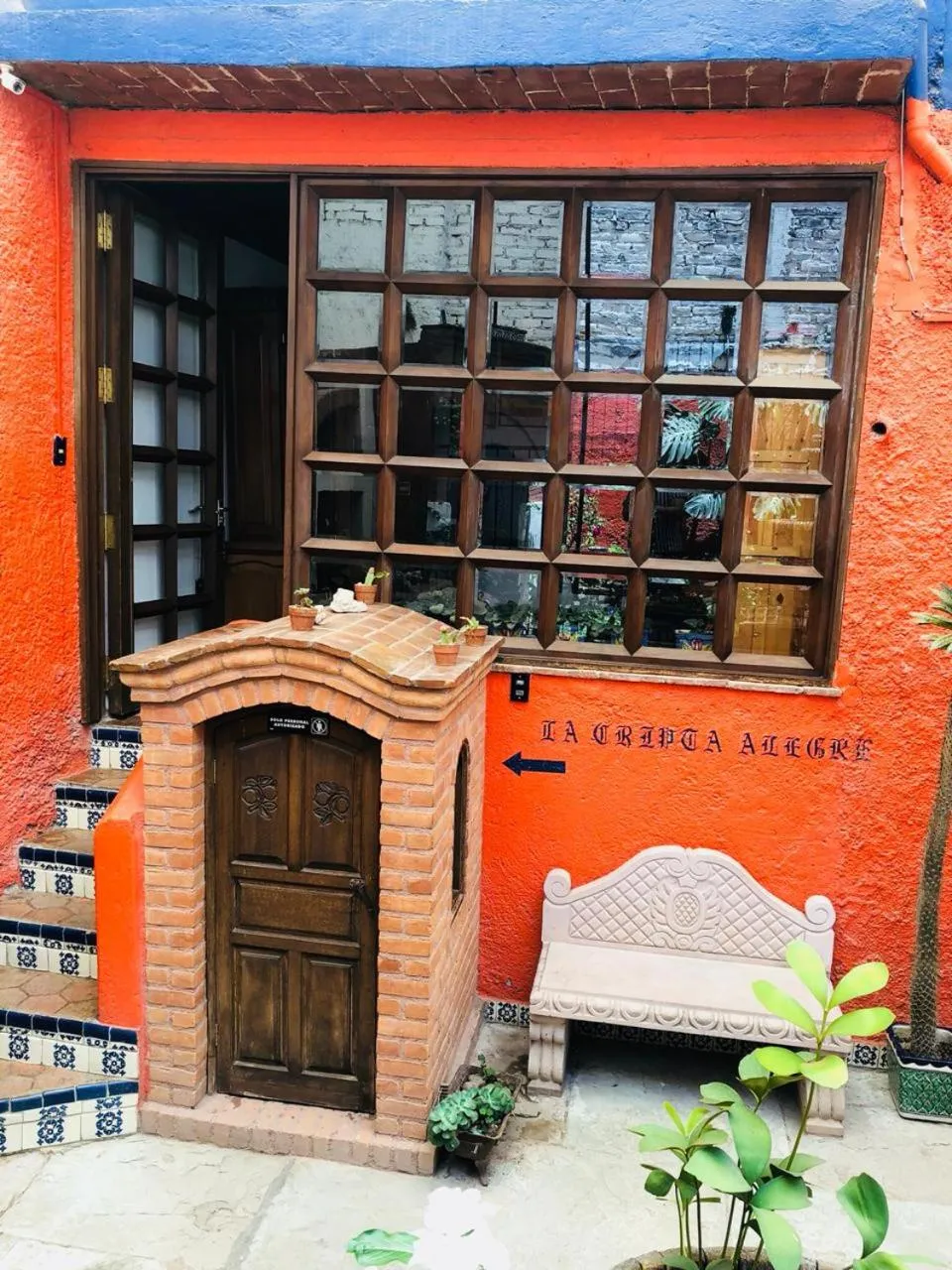 Garden in Casa Azul