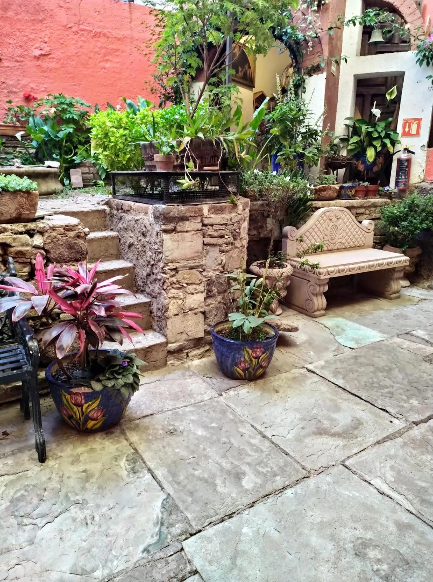 Garden in Casa Azul