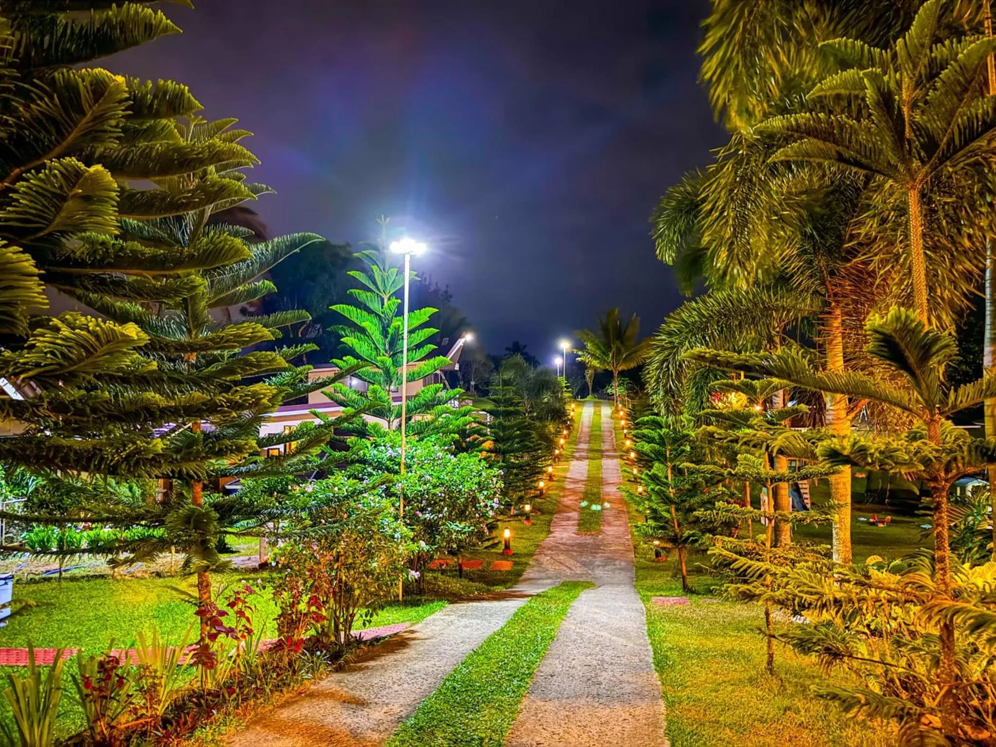 Garden in A&A Garden Suites