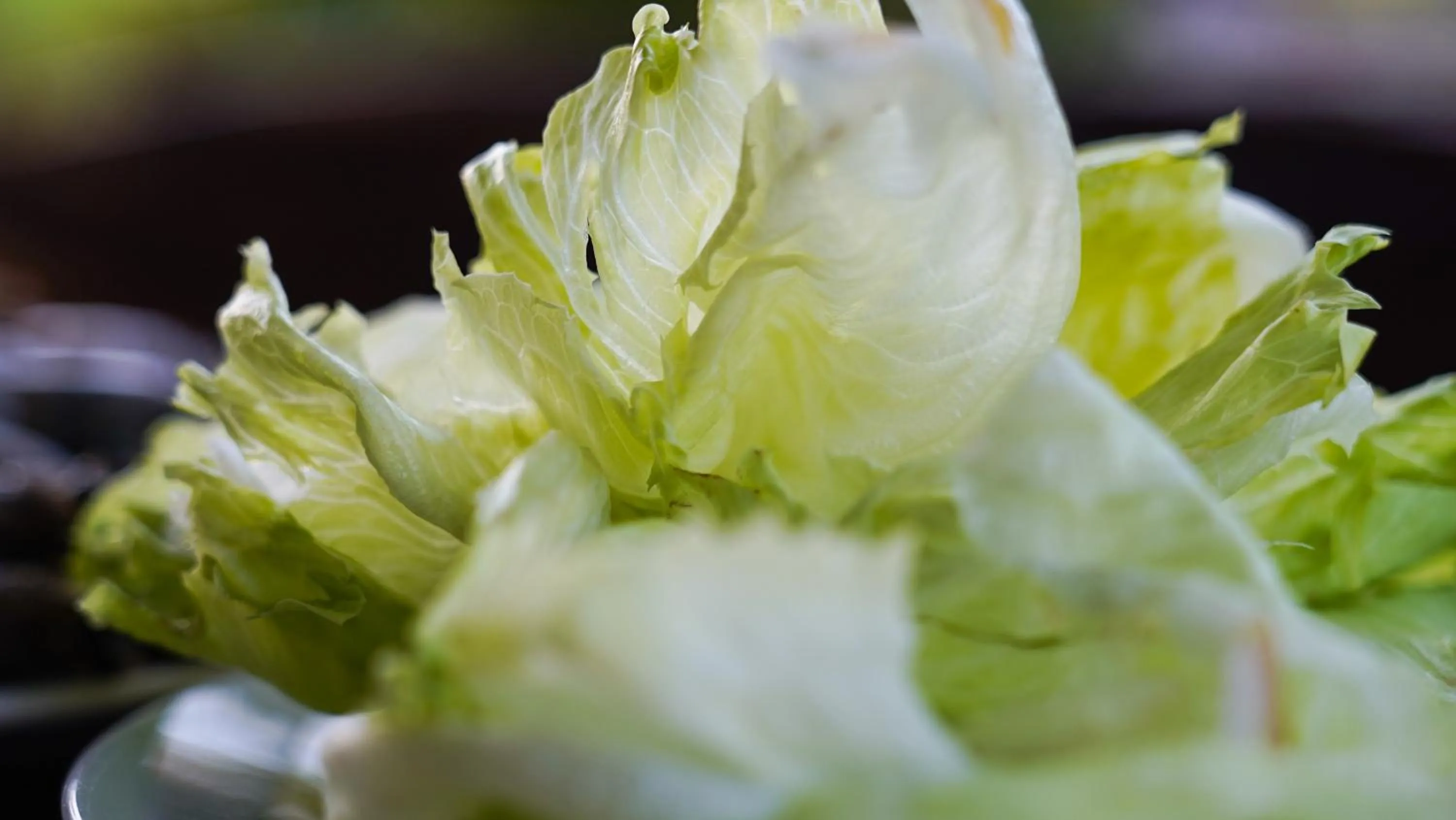 Restaurant/places to eat in A&A Garden Suites