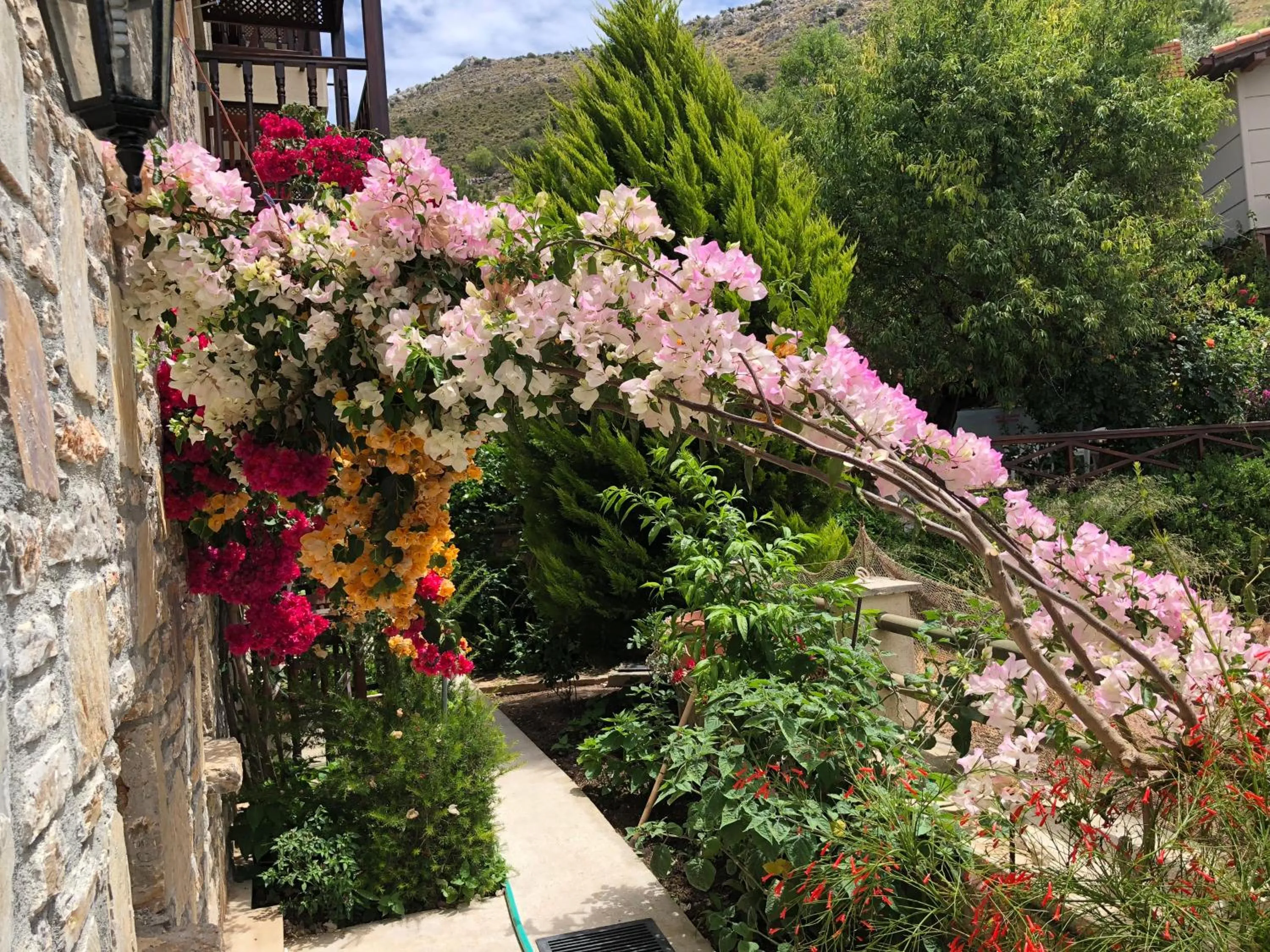 Property building in Veranda Hotel Bozburun