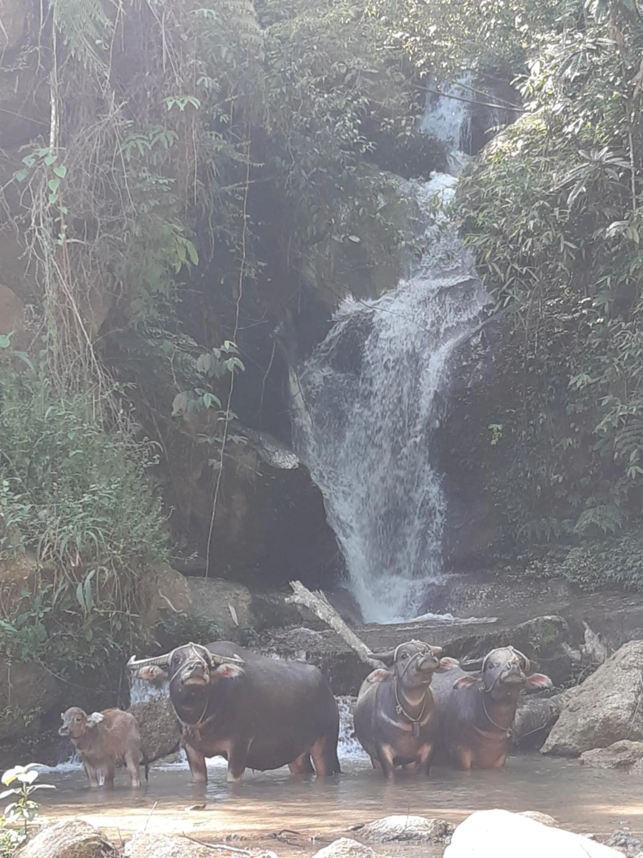 Ha Giang Historic Hotel & Tours