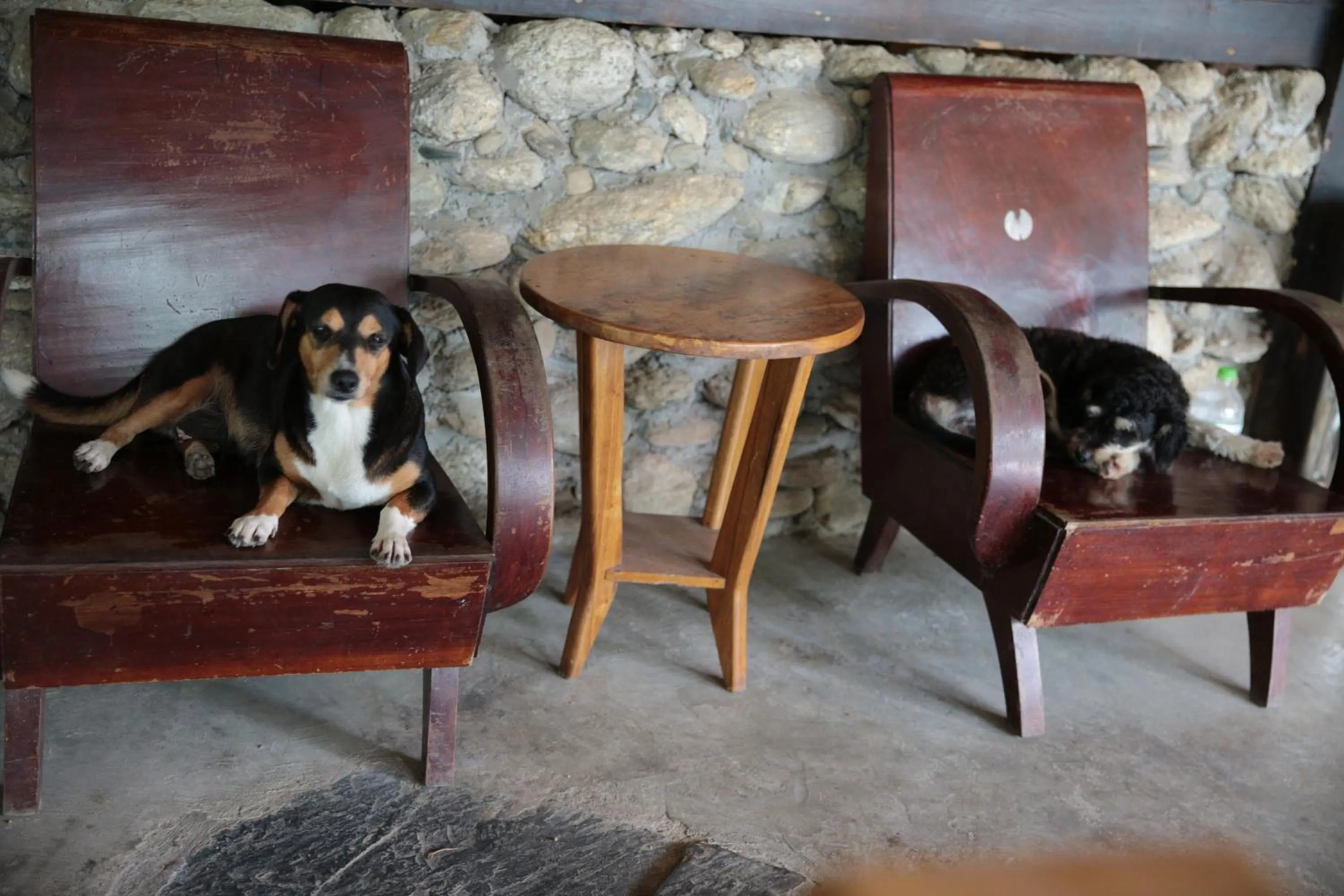 Ha Giang Historic Hotel & Tours