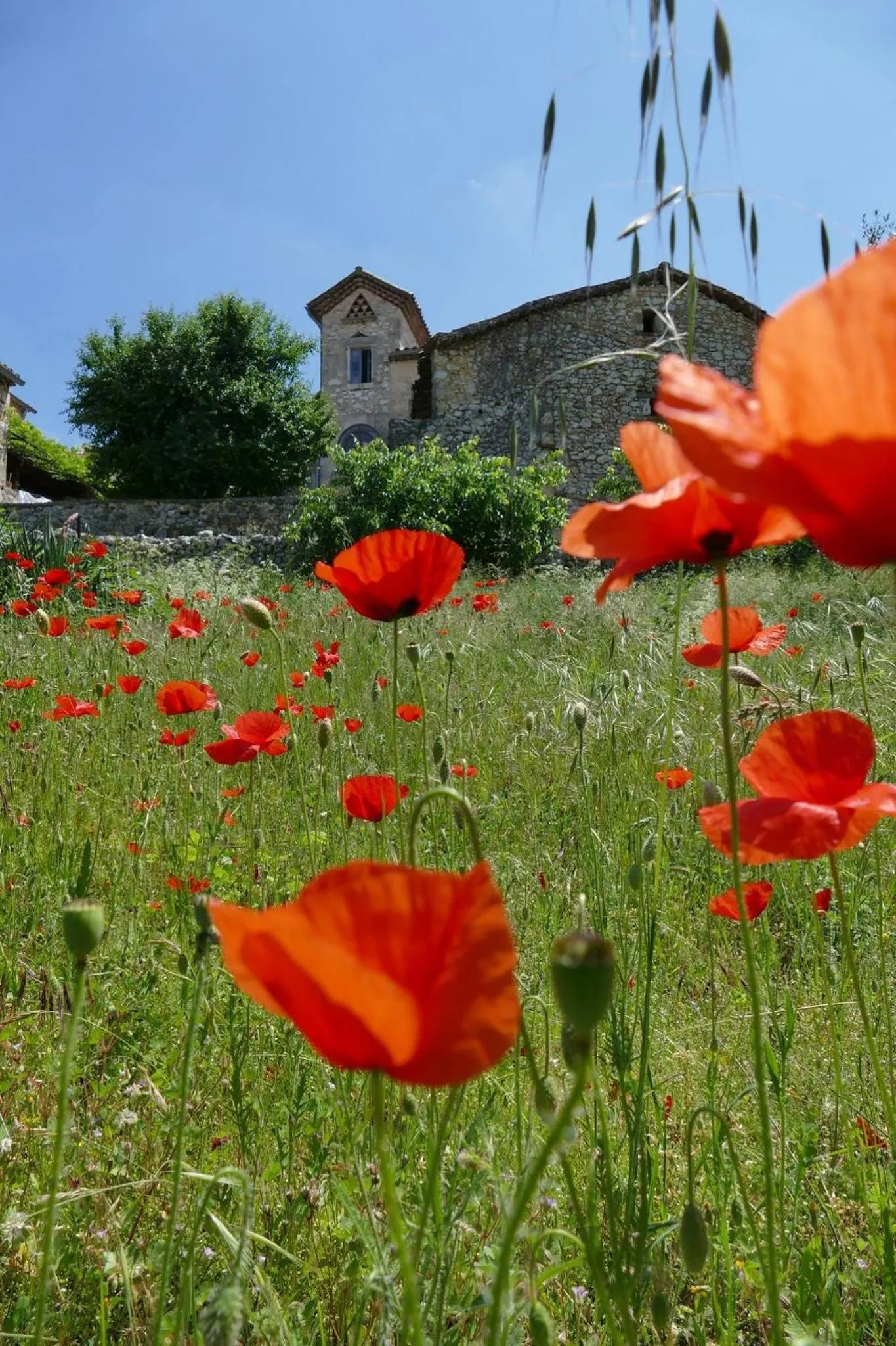 Garden in B&B Champdelaplume
