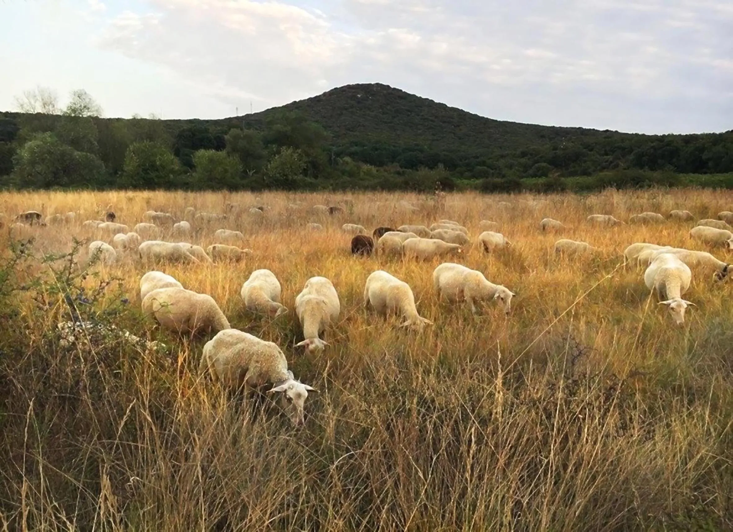 Off site in B&B Champdelaplume