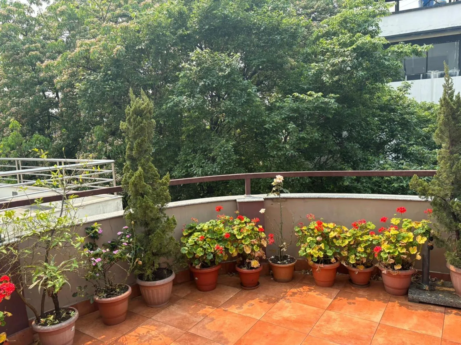 Spring in Himalayan Ghar