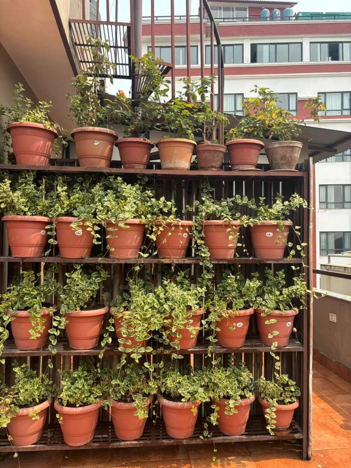 Garden in Himalayan Ghar