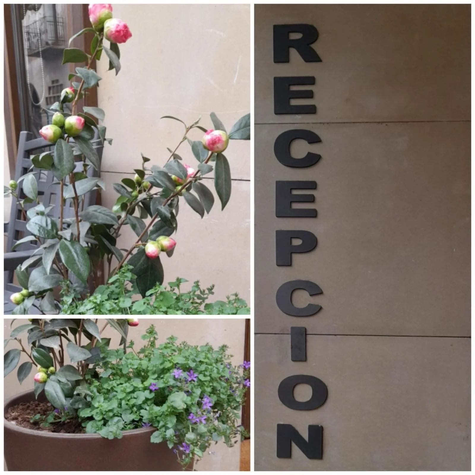 Hostal Hispano